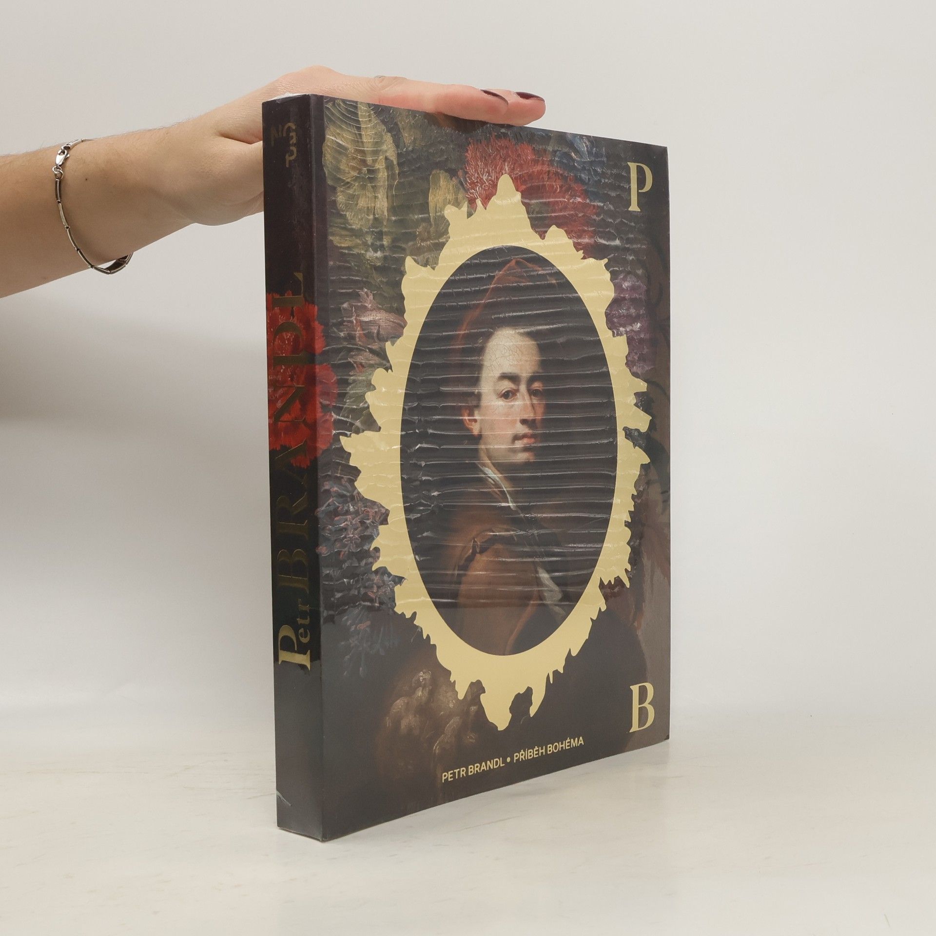 Collectif d'auteurs Petr Brandl: Příběh Bohéma