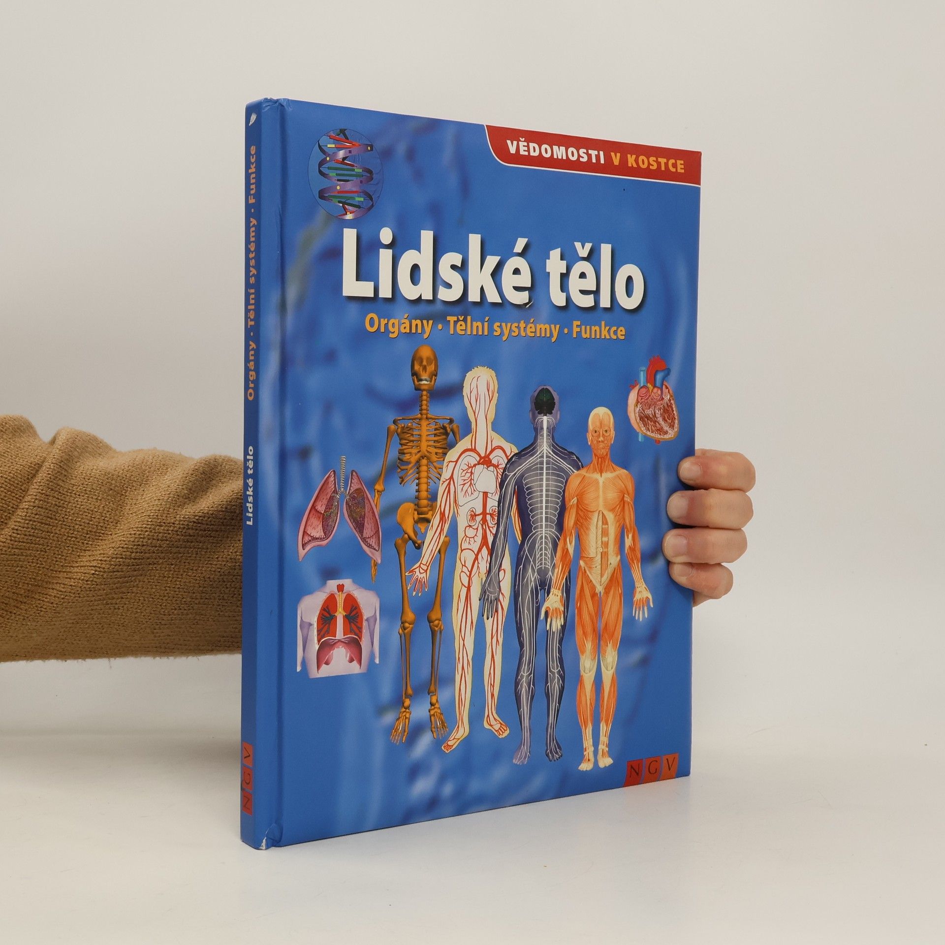 Kolektiv autorů Lidské tělo. Orgány. Tělní systémy. Funkce