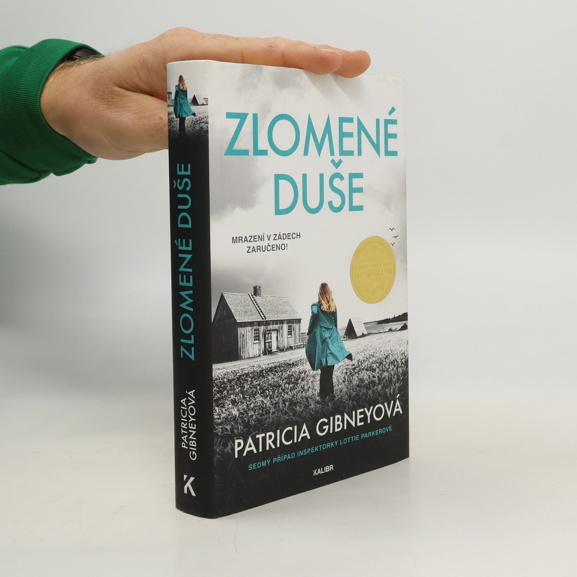 Patricia Gibney Zlomené Duše