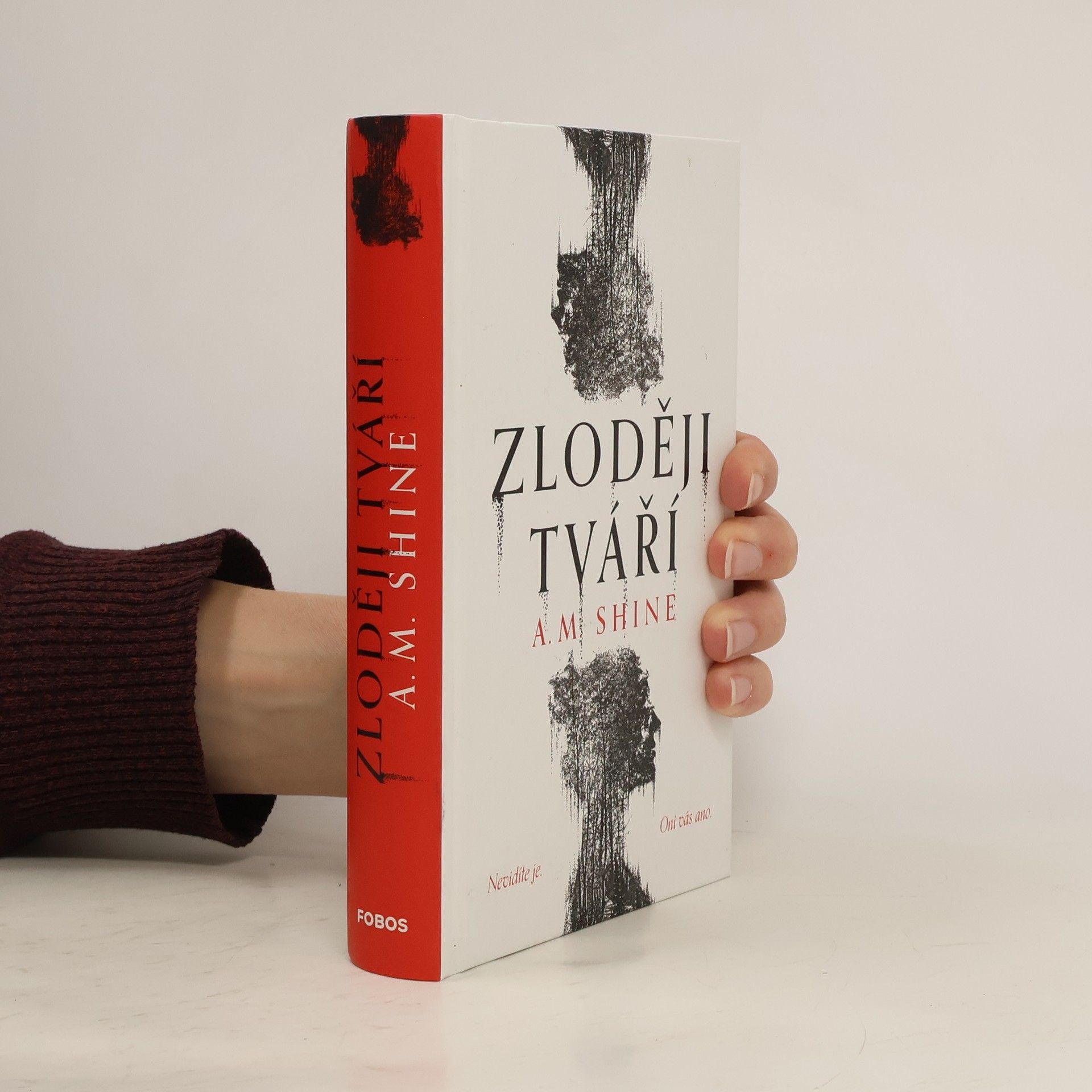 Kateřina Harrison Lipenská Zloději tváří