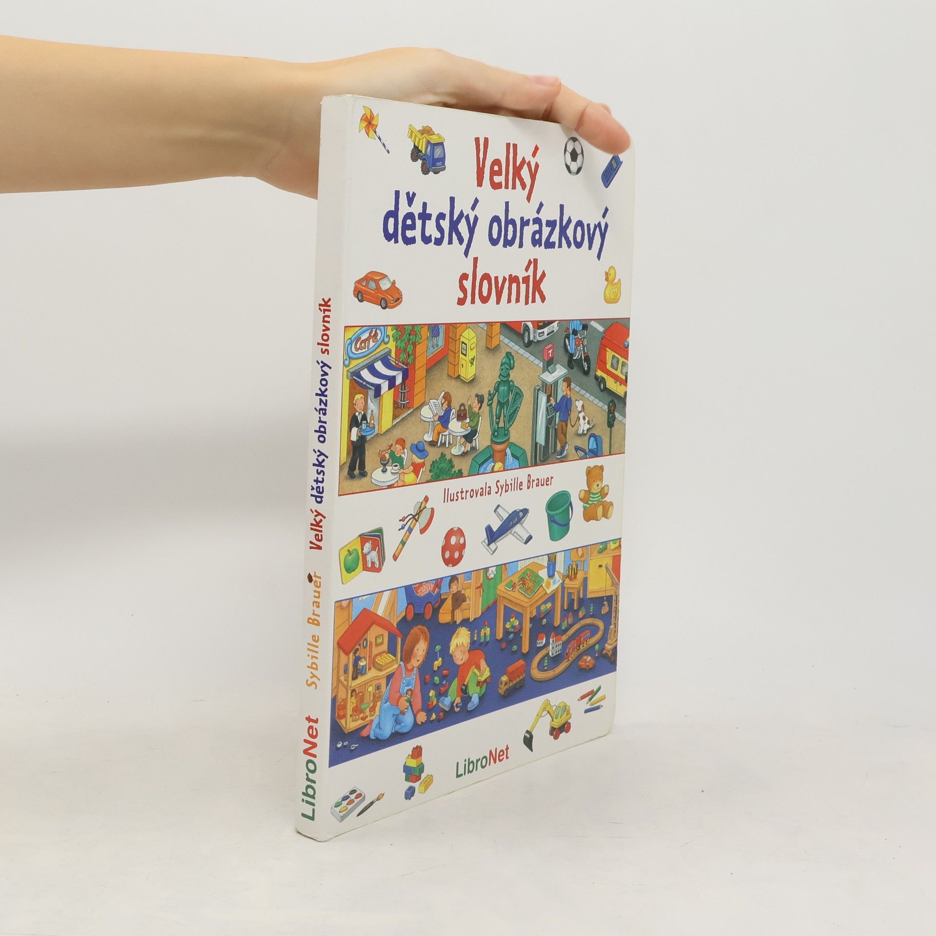 Sybille Brauer Velký dětský obrázkový slovník