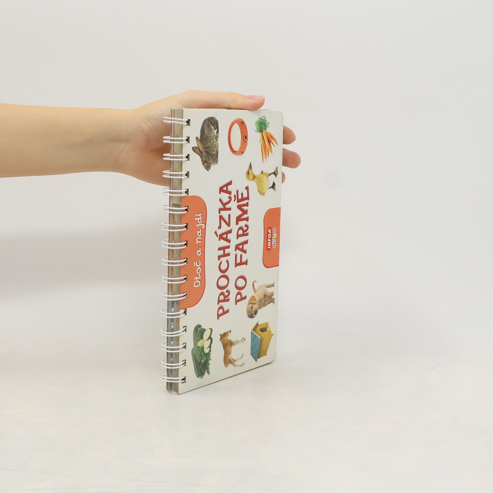 Kolektiv autorů Procházka po farmě