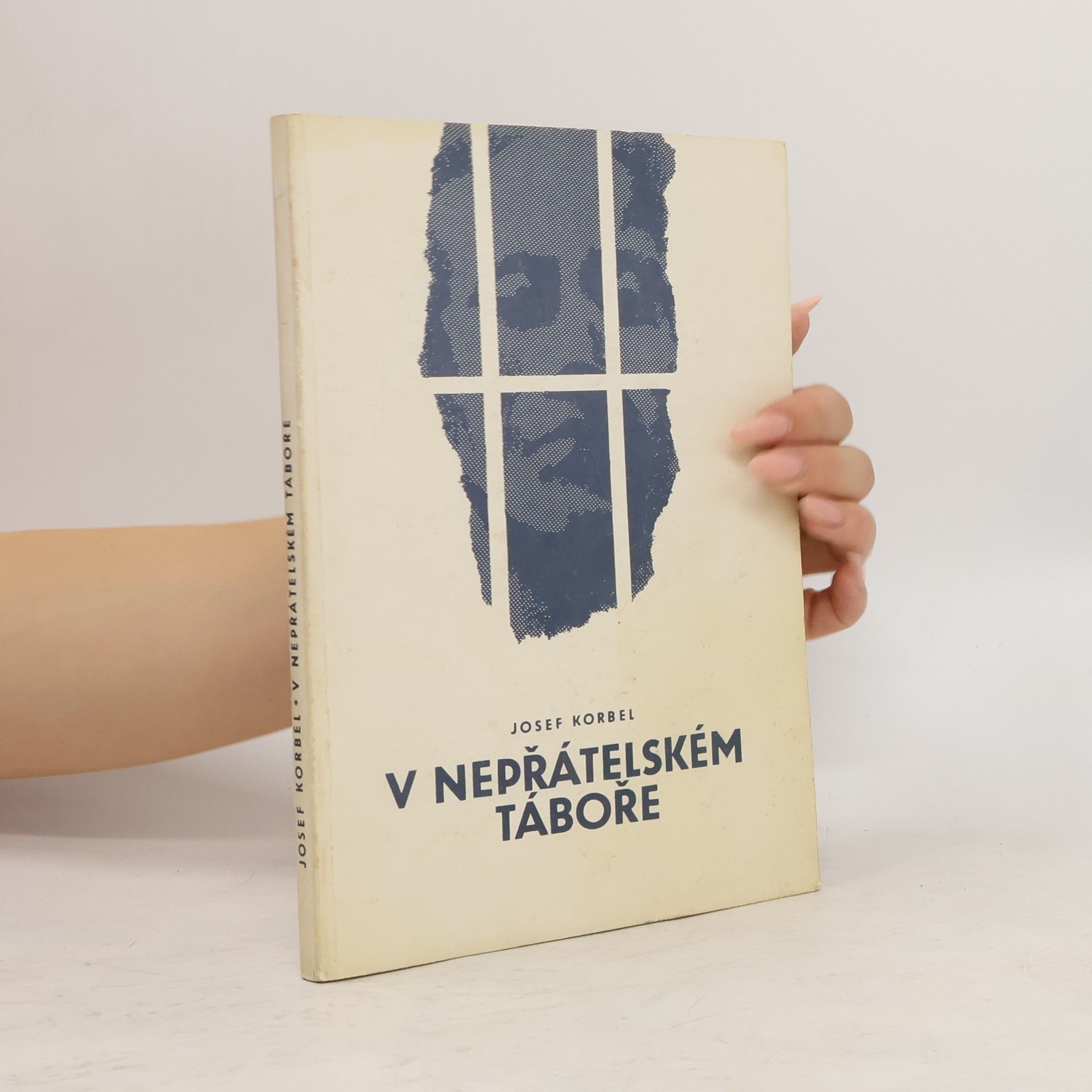 V nepřátelském táboře