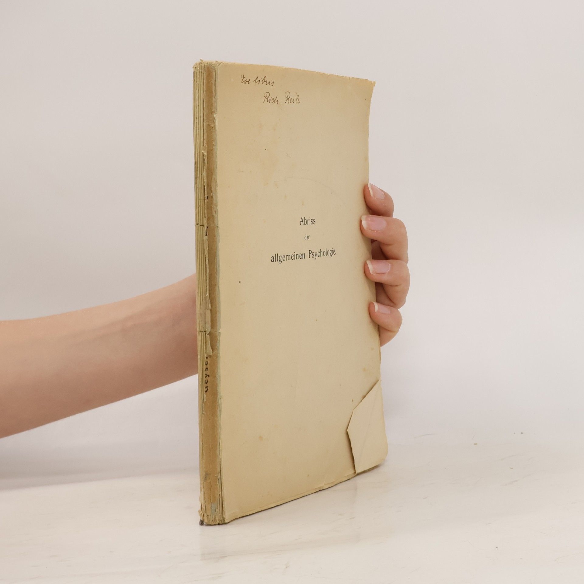 Abriss der allgemeinen Psychologie