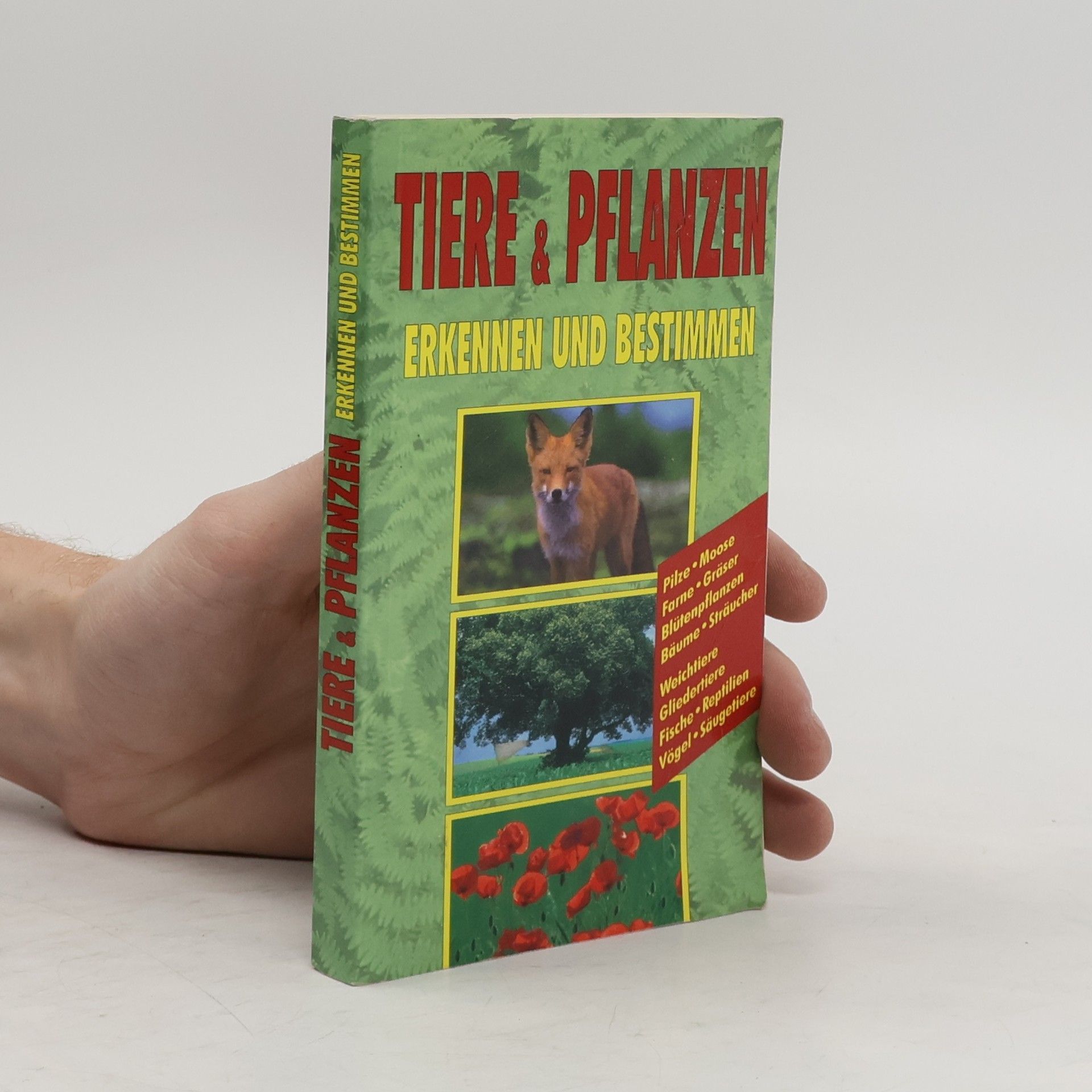 Christine Jaitner Tiere & Pflanzen erkennen und bestimmen