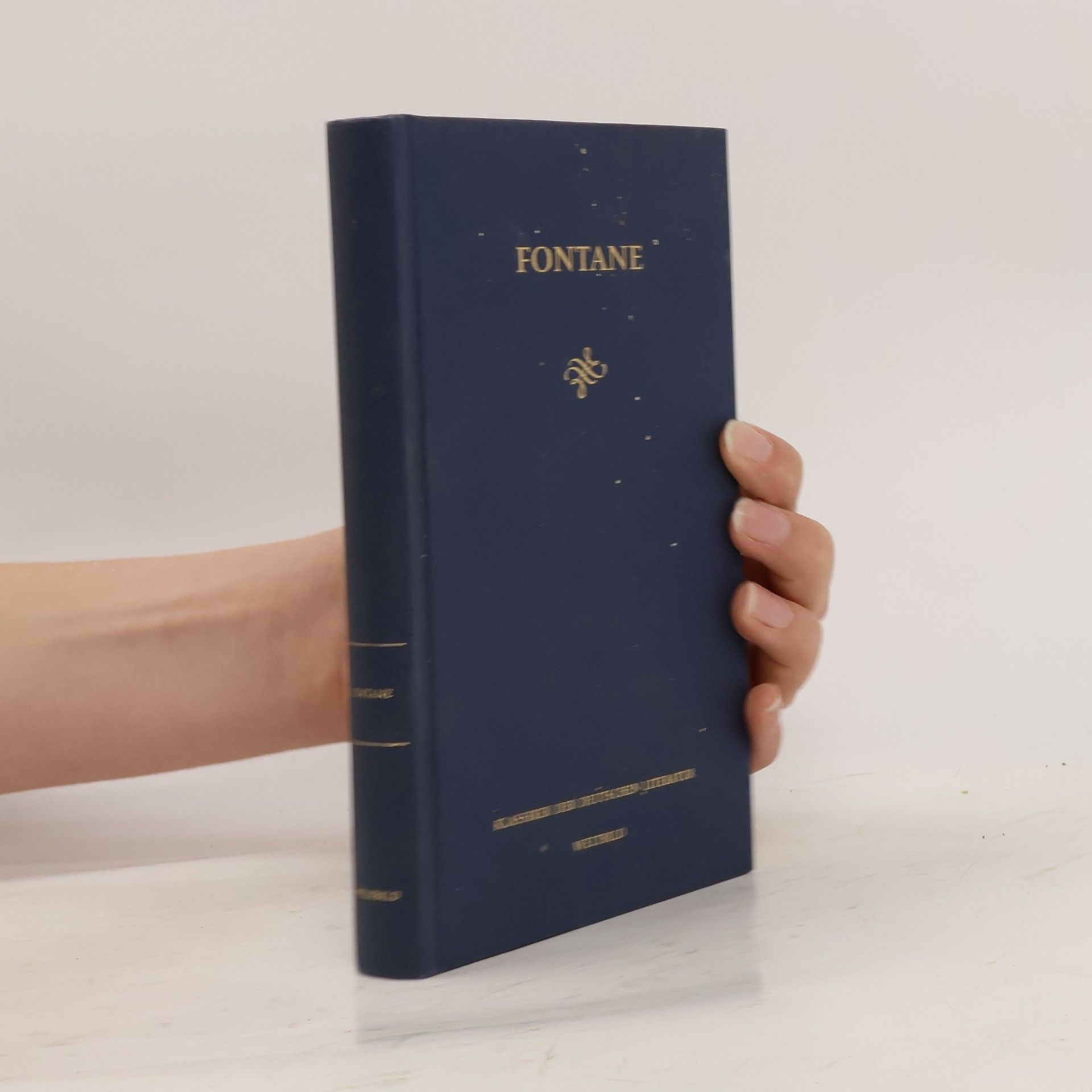 Theodor Fontane Fontane. Die Klassiker der deutschen Literatur