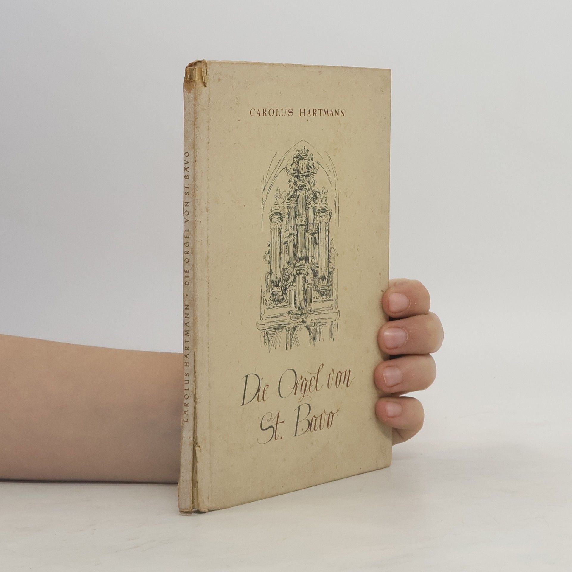 Die Orgel von St. Bavo