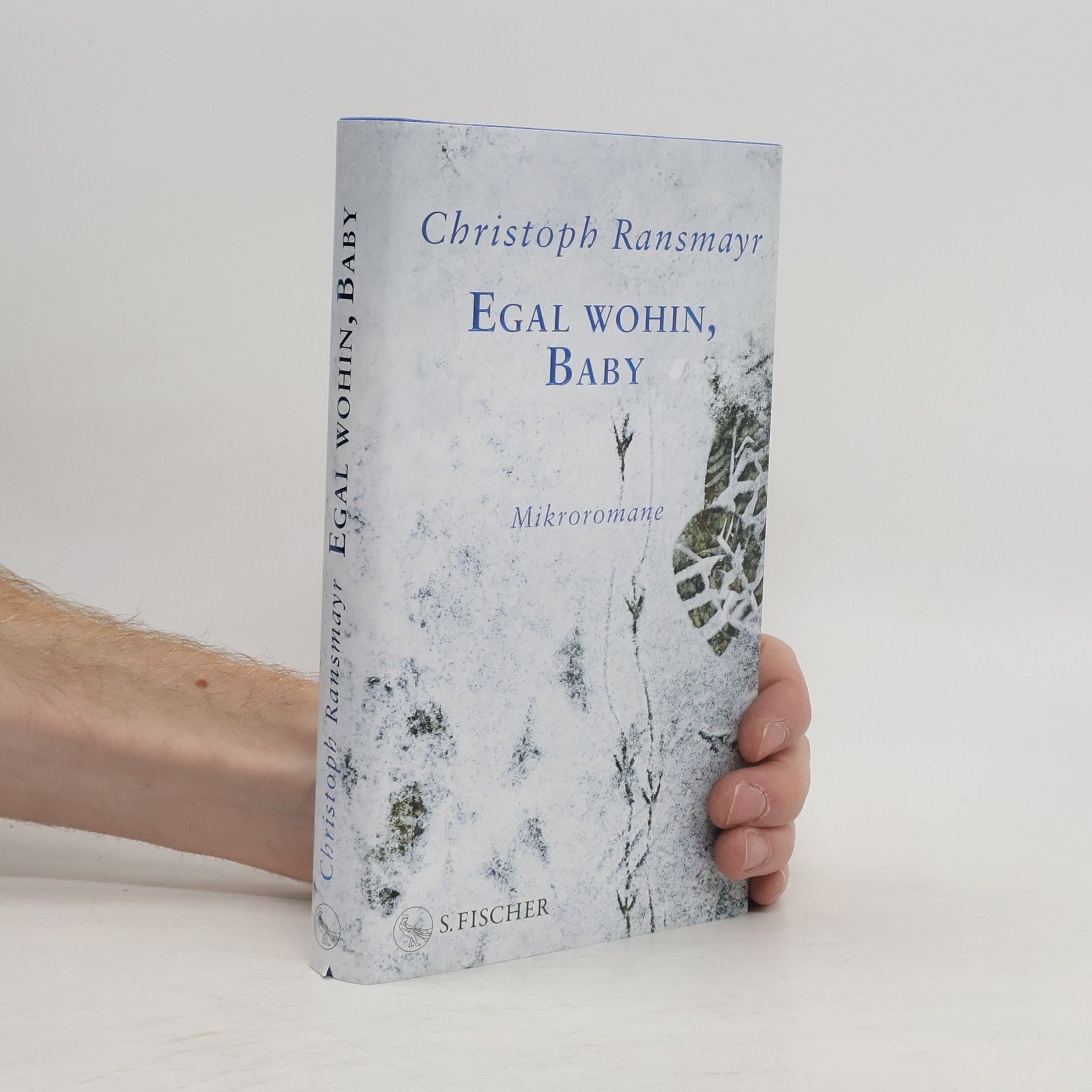 Christoph Ransmayr Egal wohin, Baby. Mikroromane