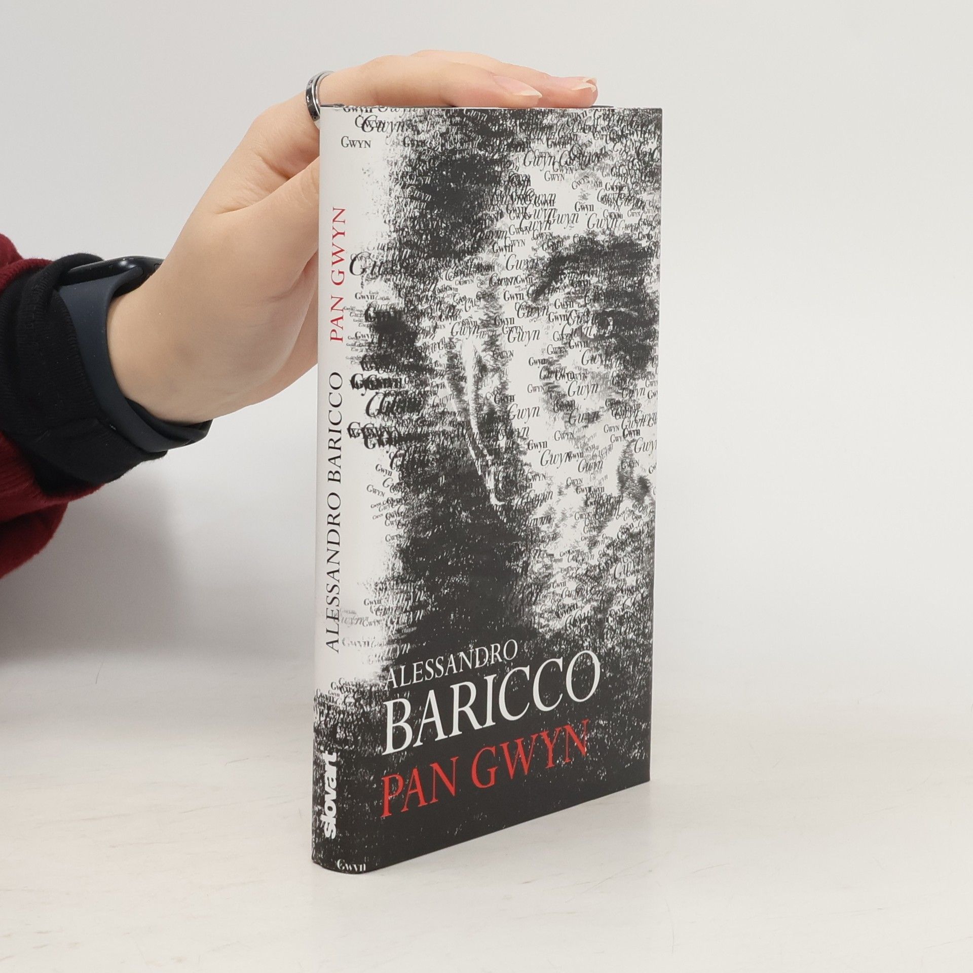 Alessandro Baricco Pan Gwyn