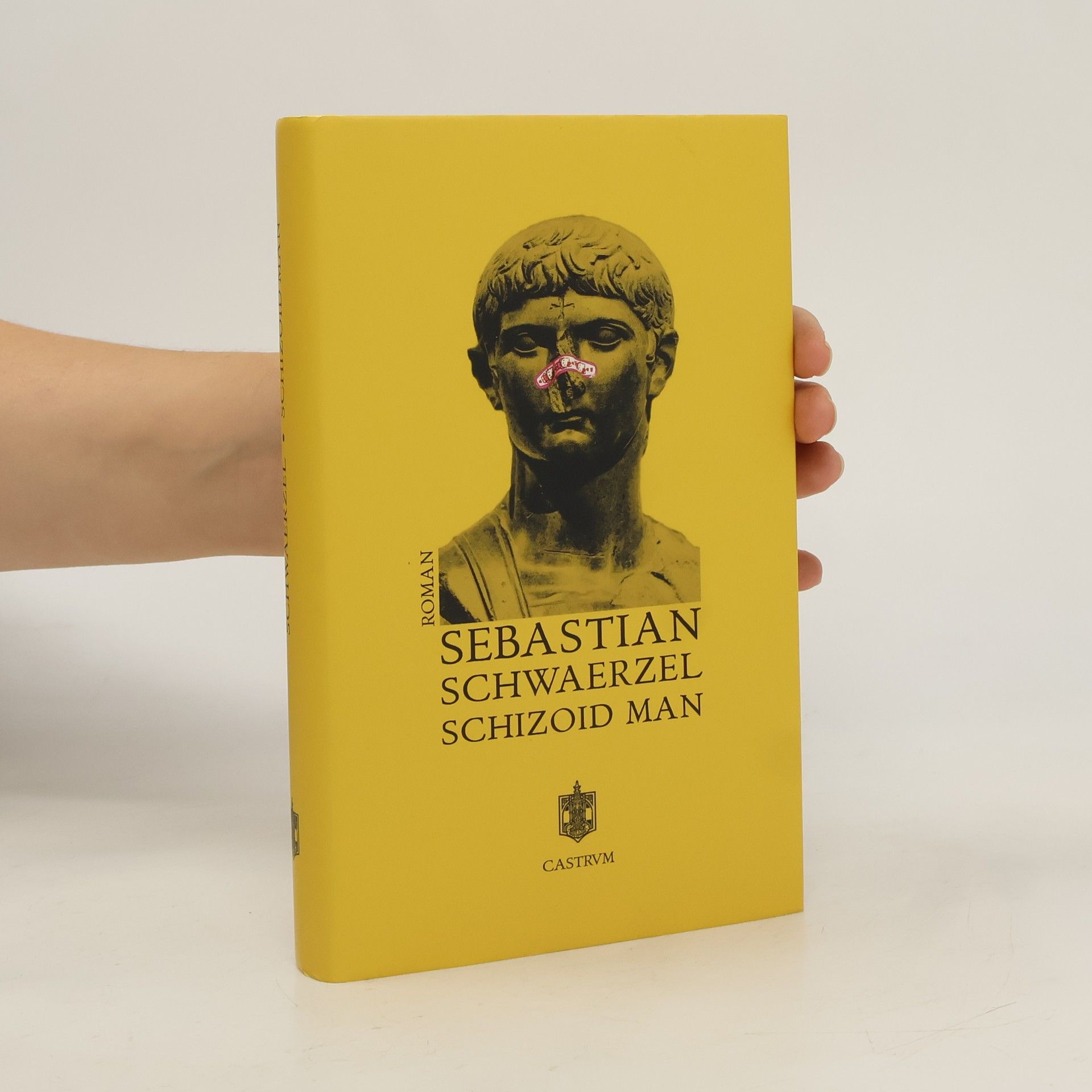 Sebastian Schwaerzel Schizoid Man