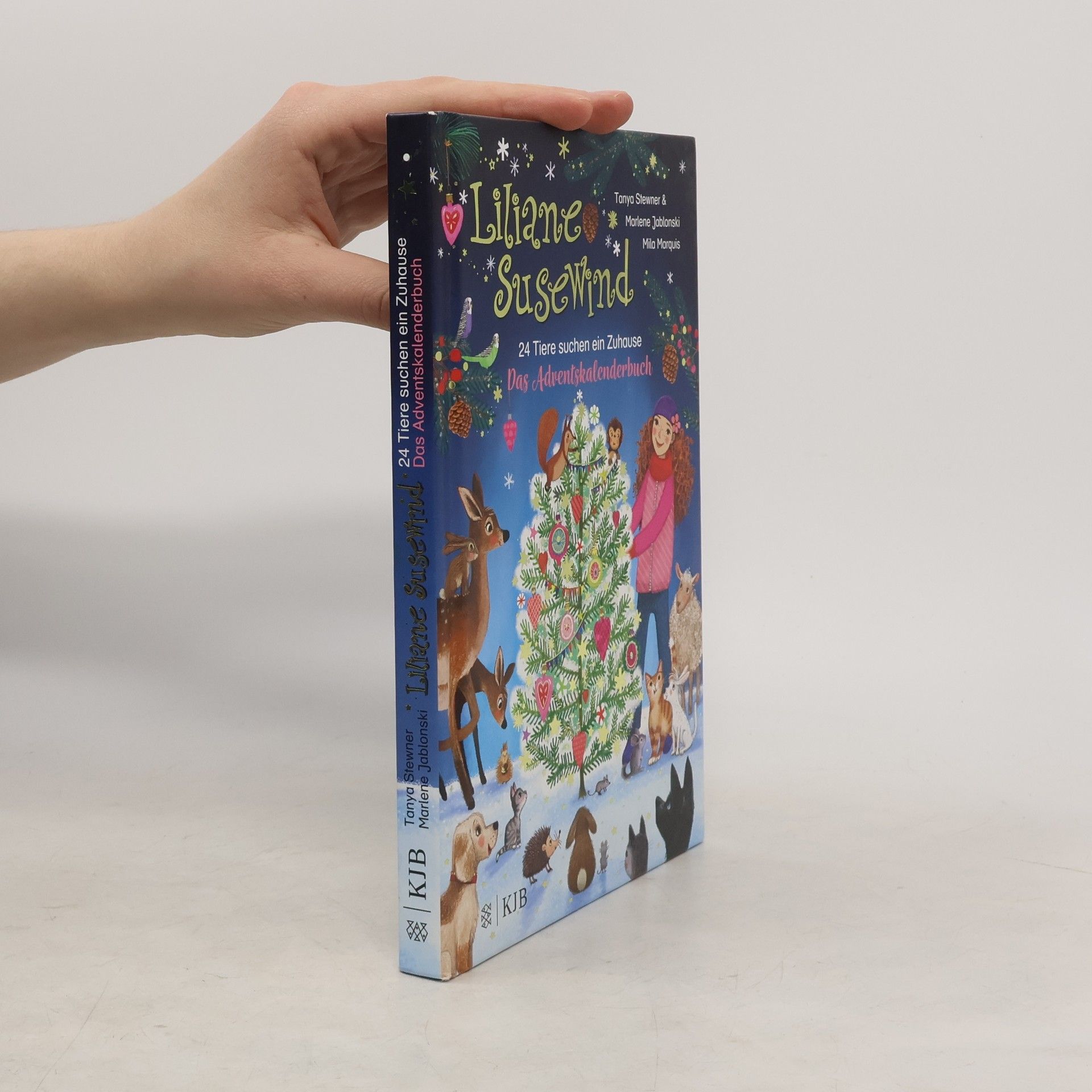 Tanya Stewner Liliane Susewind - 24 Tiere suchen ein Zuhause. Das Adventskalenderbuch