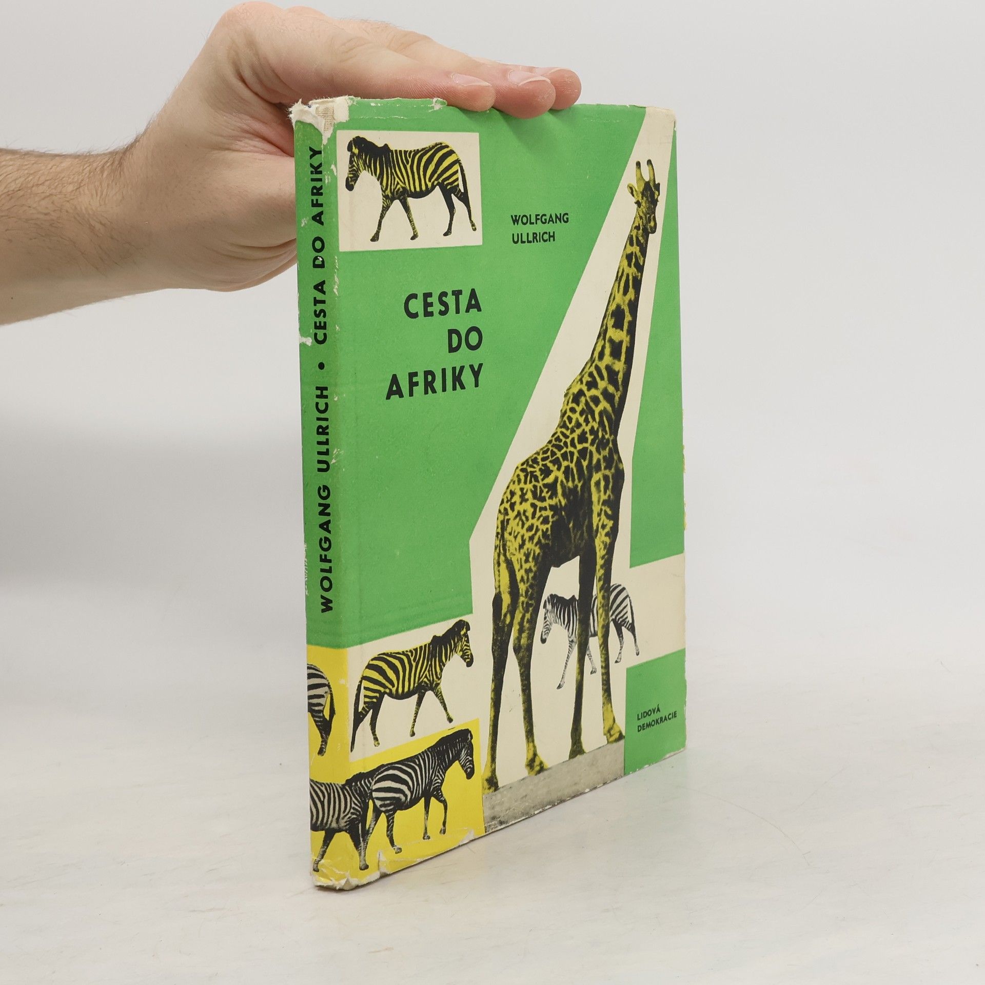 Wolfgang Ullrich Cesta do Afriky