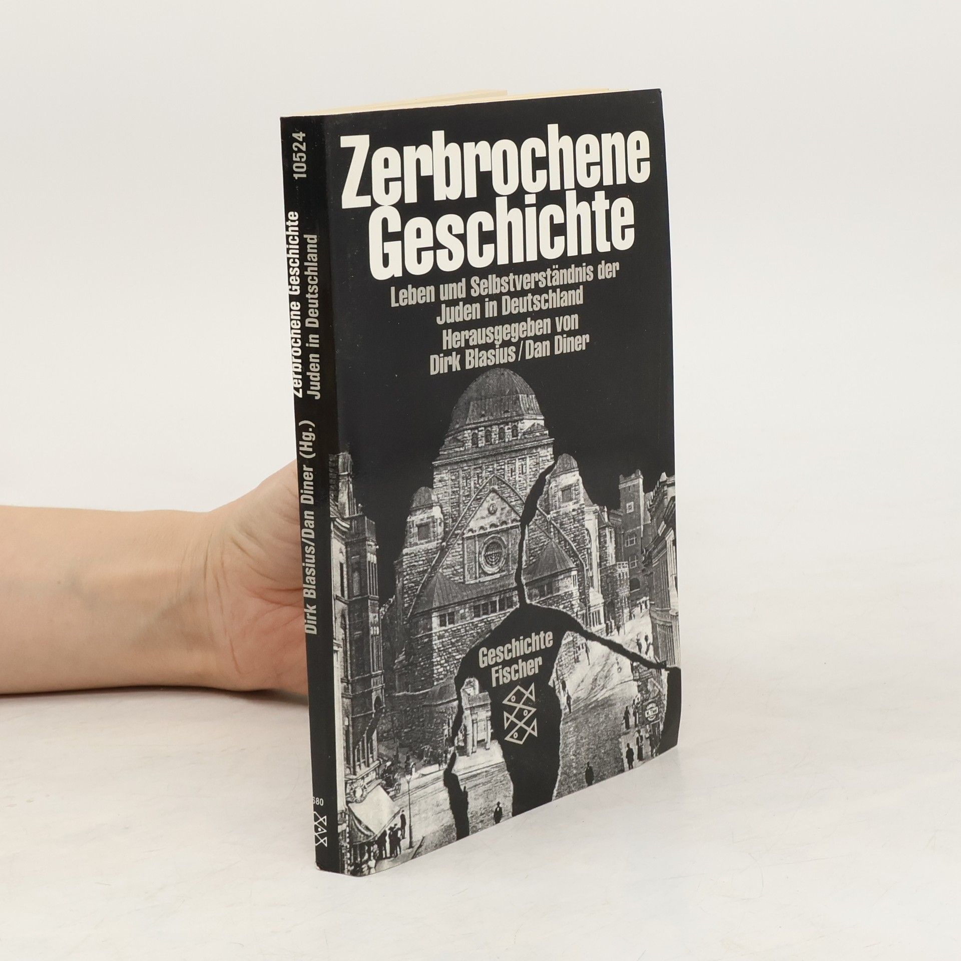 Dirk Blasius Zerbrochene Geschichte