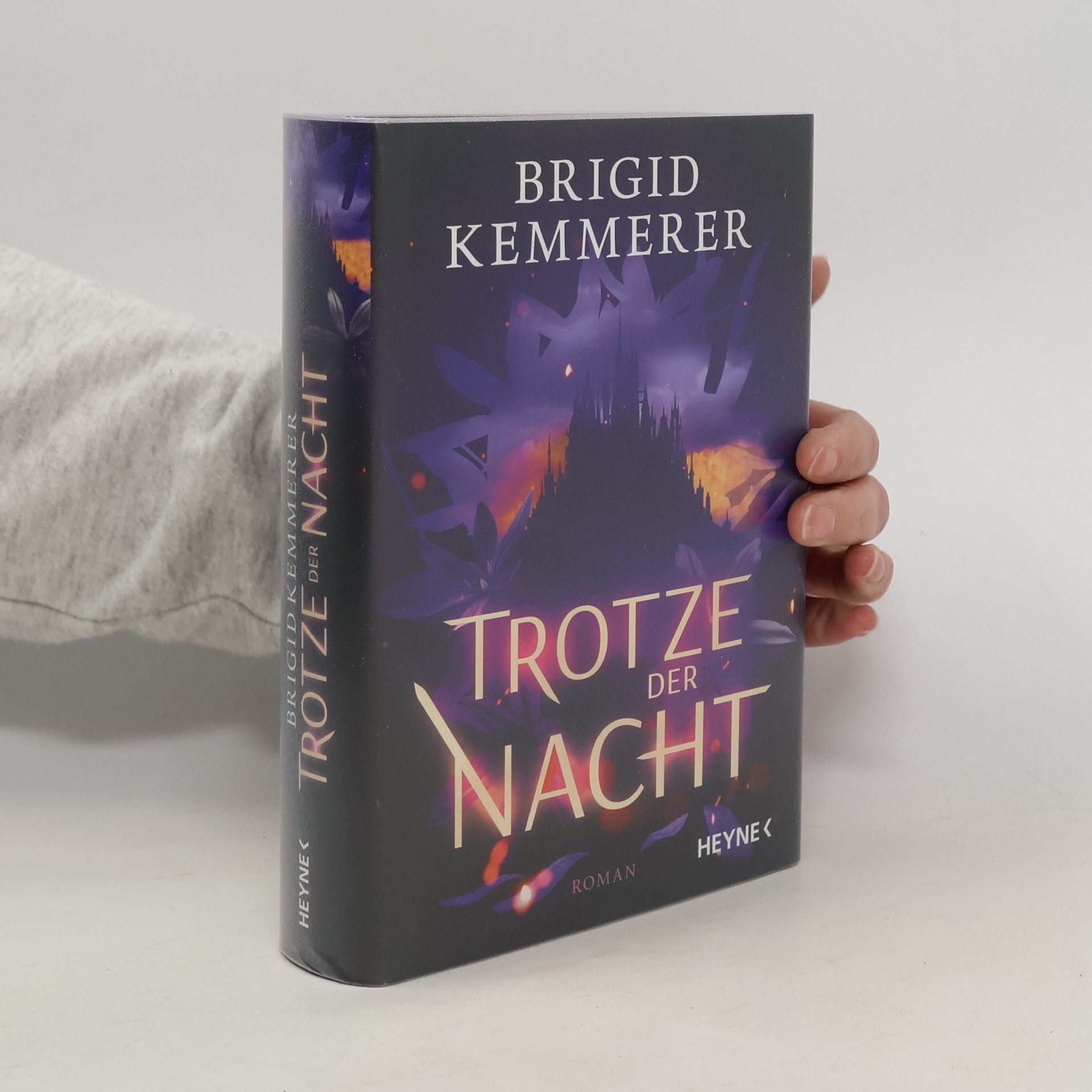 Brigid Kemmerer Trotze der Nacht