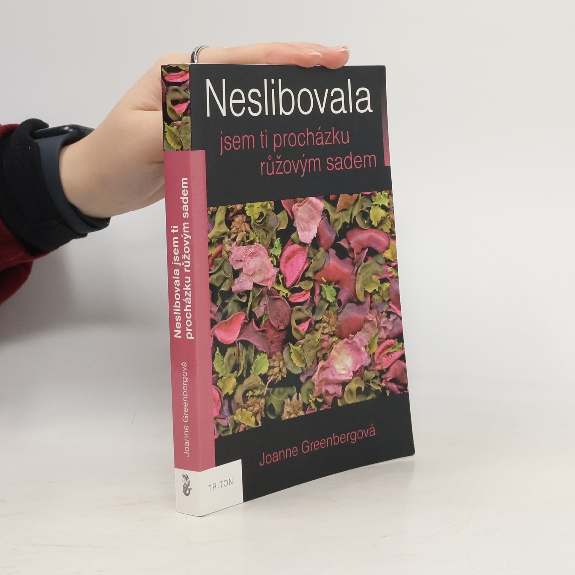 Hannah Green Neslibovala jsem ti procházku růžovým sadem