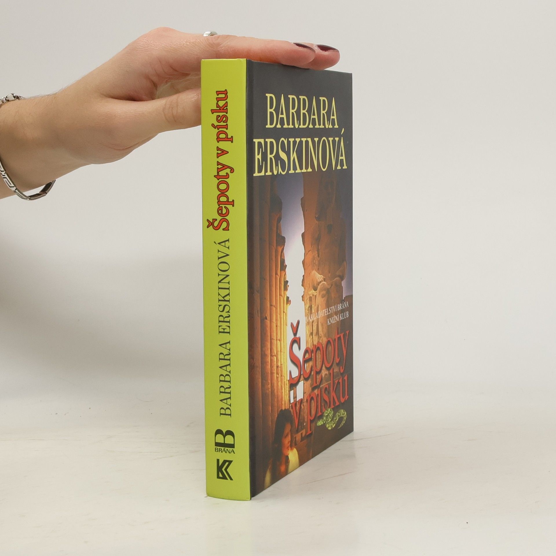 Barbara Erskine Šepoty v písku