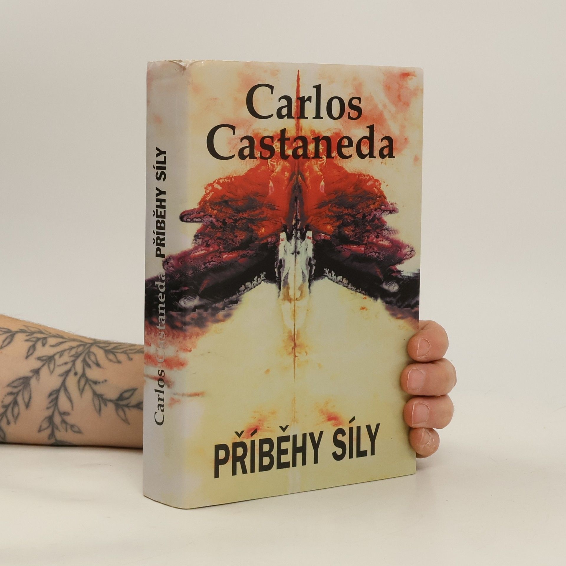 Carlos Castaneda Příběhy síly