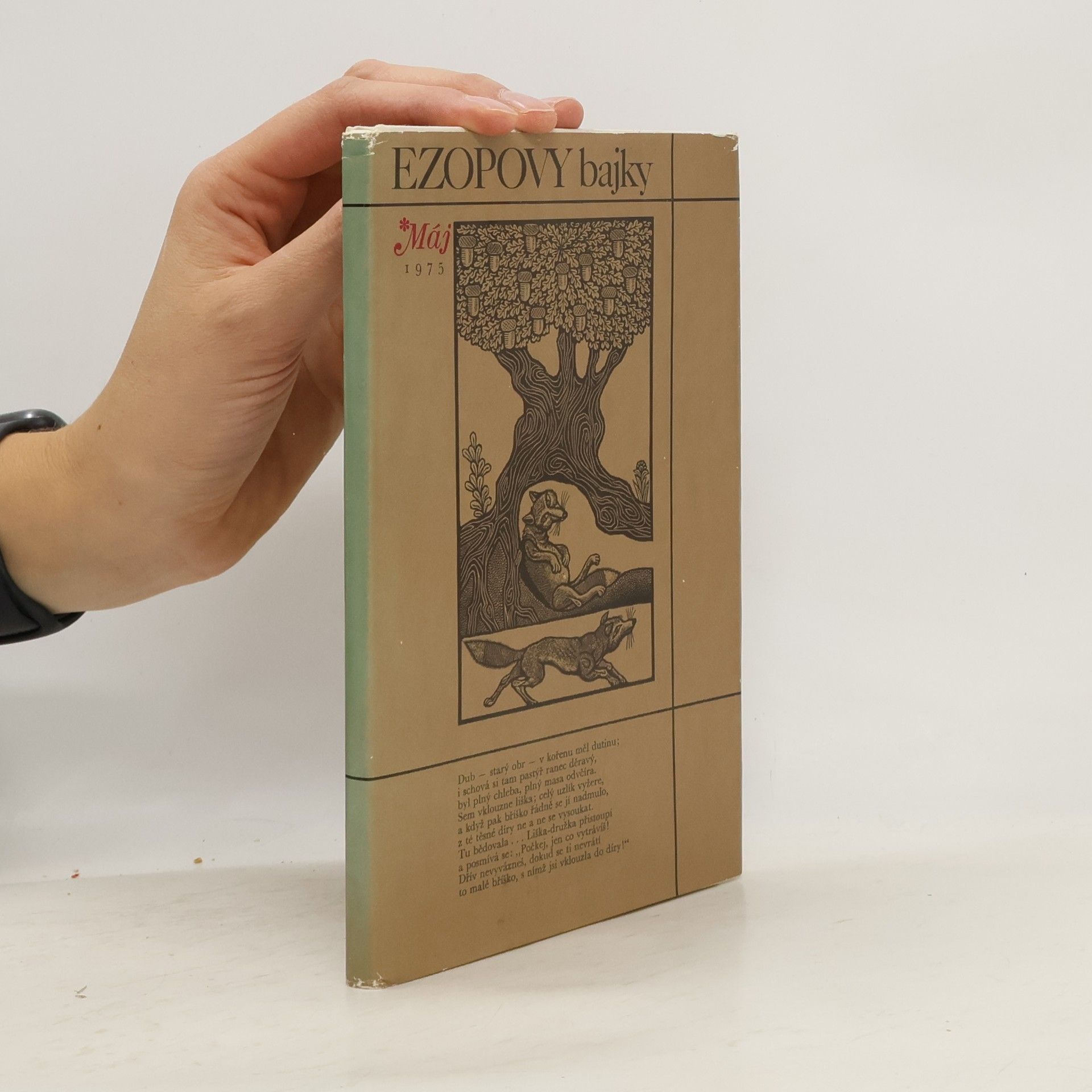 Autorenkollektiv Ezopovy bajky