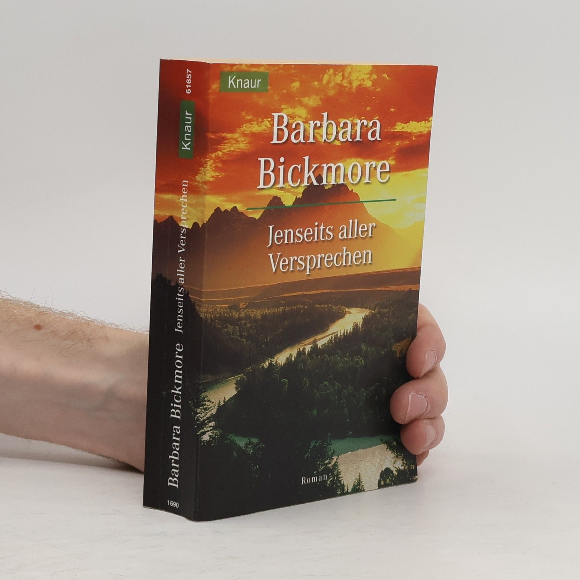 Barbara Bickmore Jenseits aller Versprechen