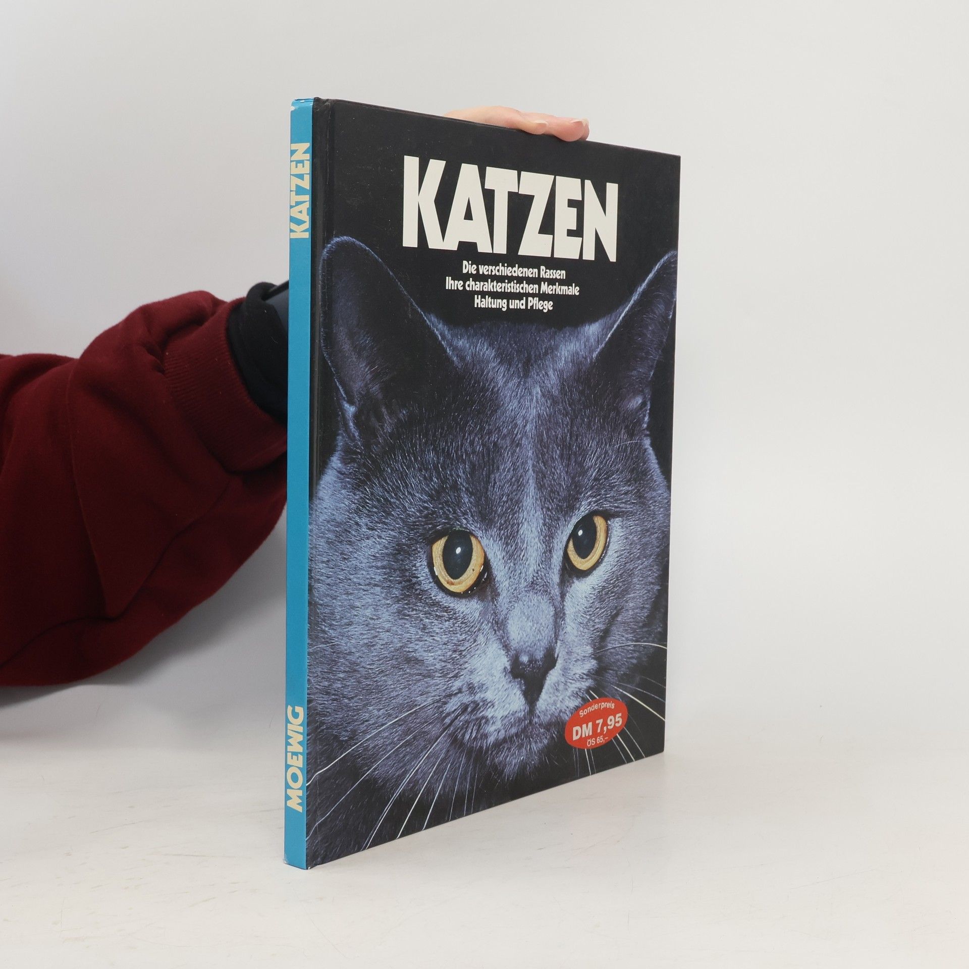 Autores varios Katzen. Die verschiedenen Rassen. Ihre charakteristischen Merkmale. Haltung und Pflege.
