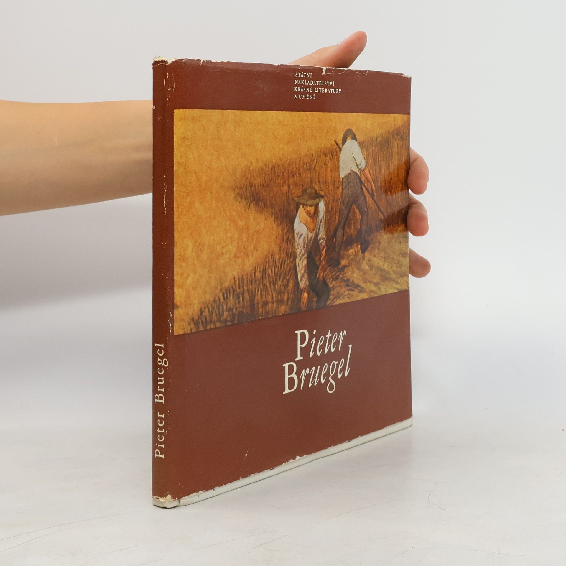 Jaromír Neumann Pieter Bruegel