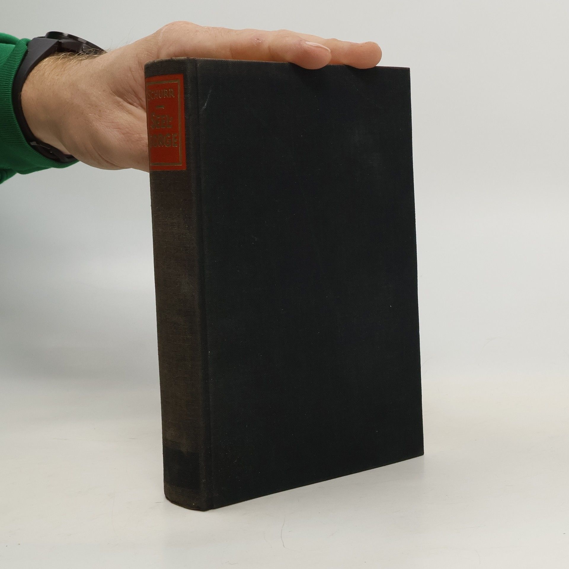 Seelsorge in einer neuen Welt