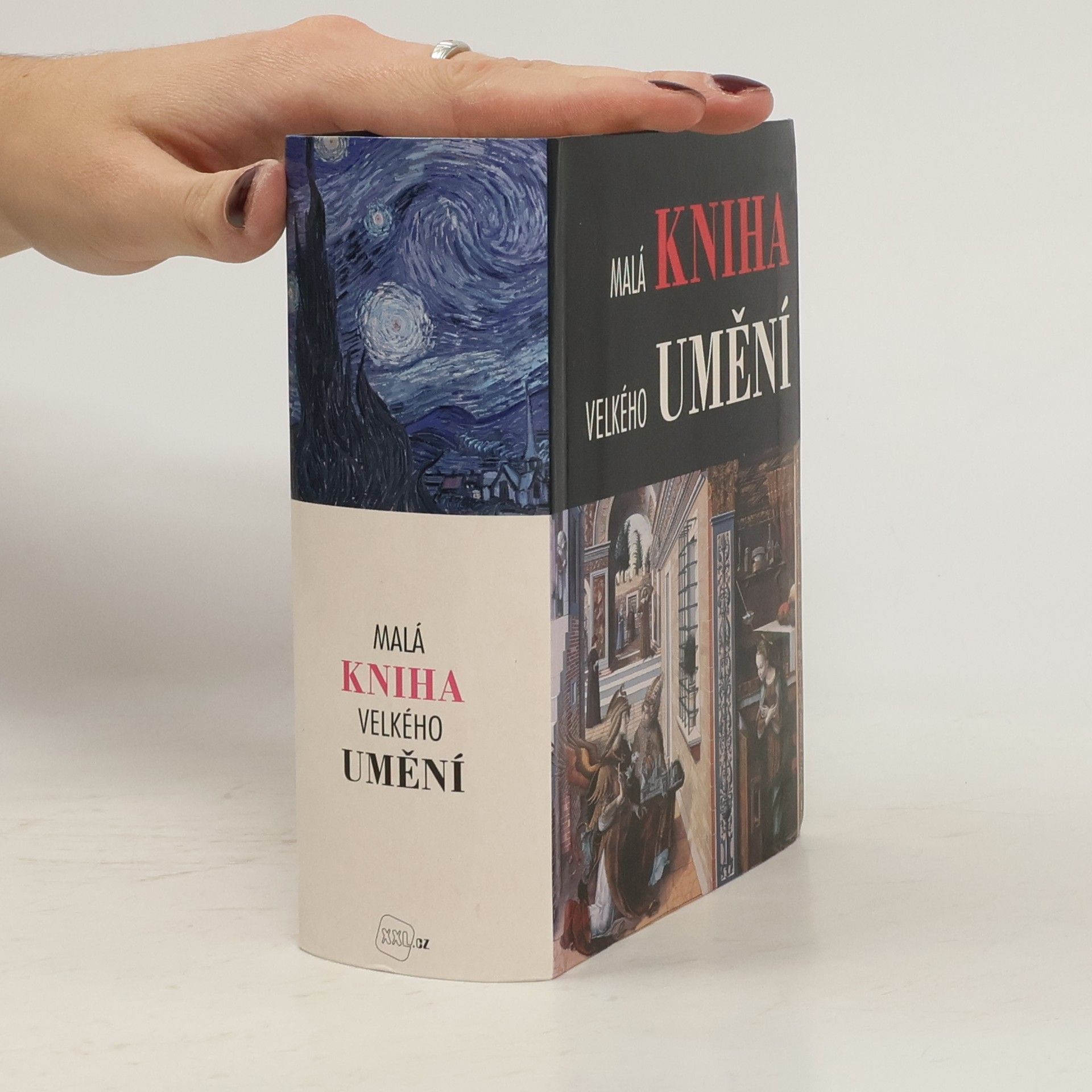 Roberto Carvalho de Magalhães Malá kniha velkého umění
