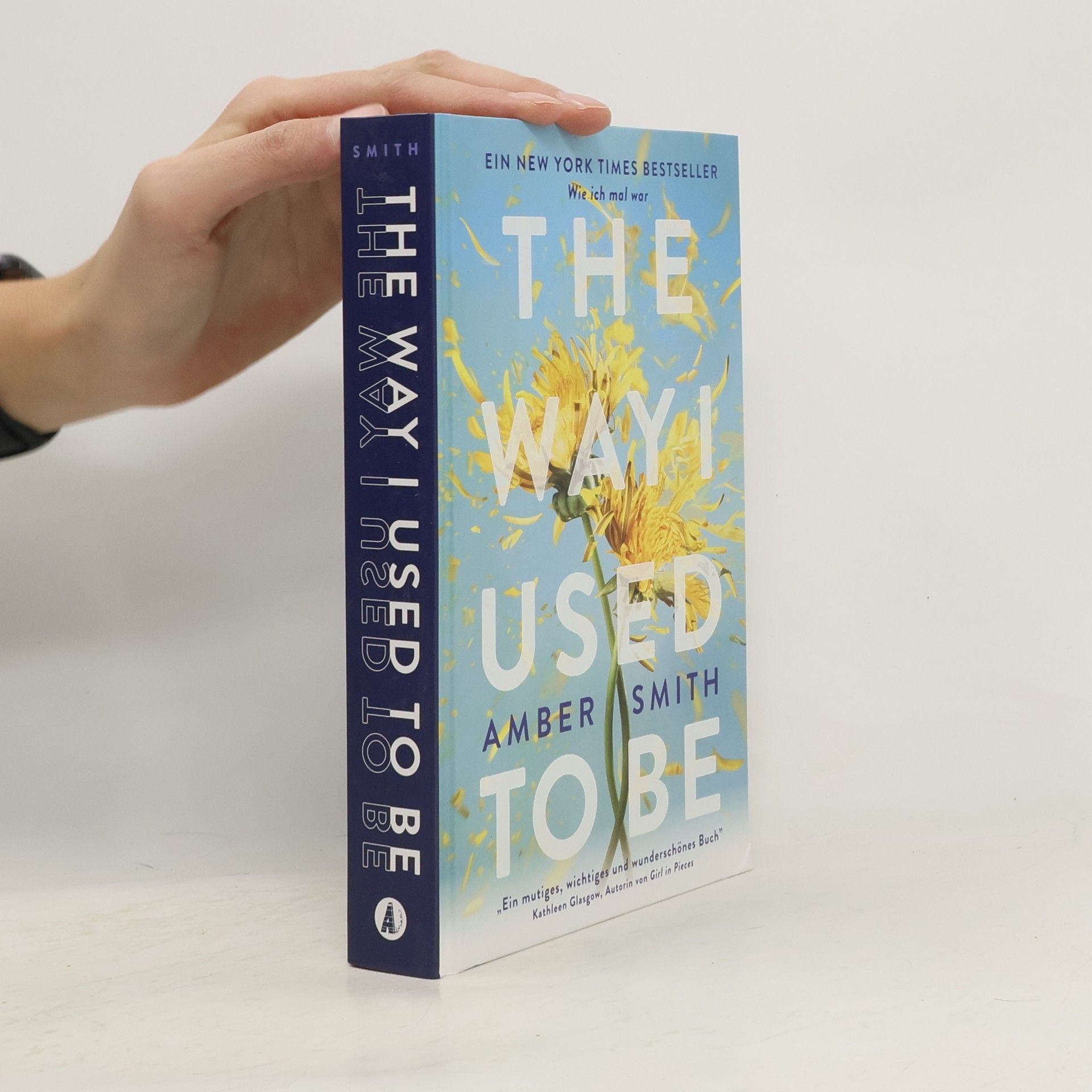 Amber Smith Wie ich mal war. The Way I Used to Be