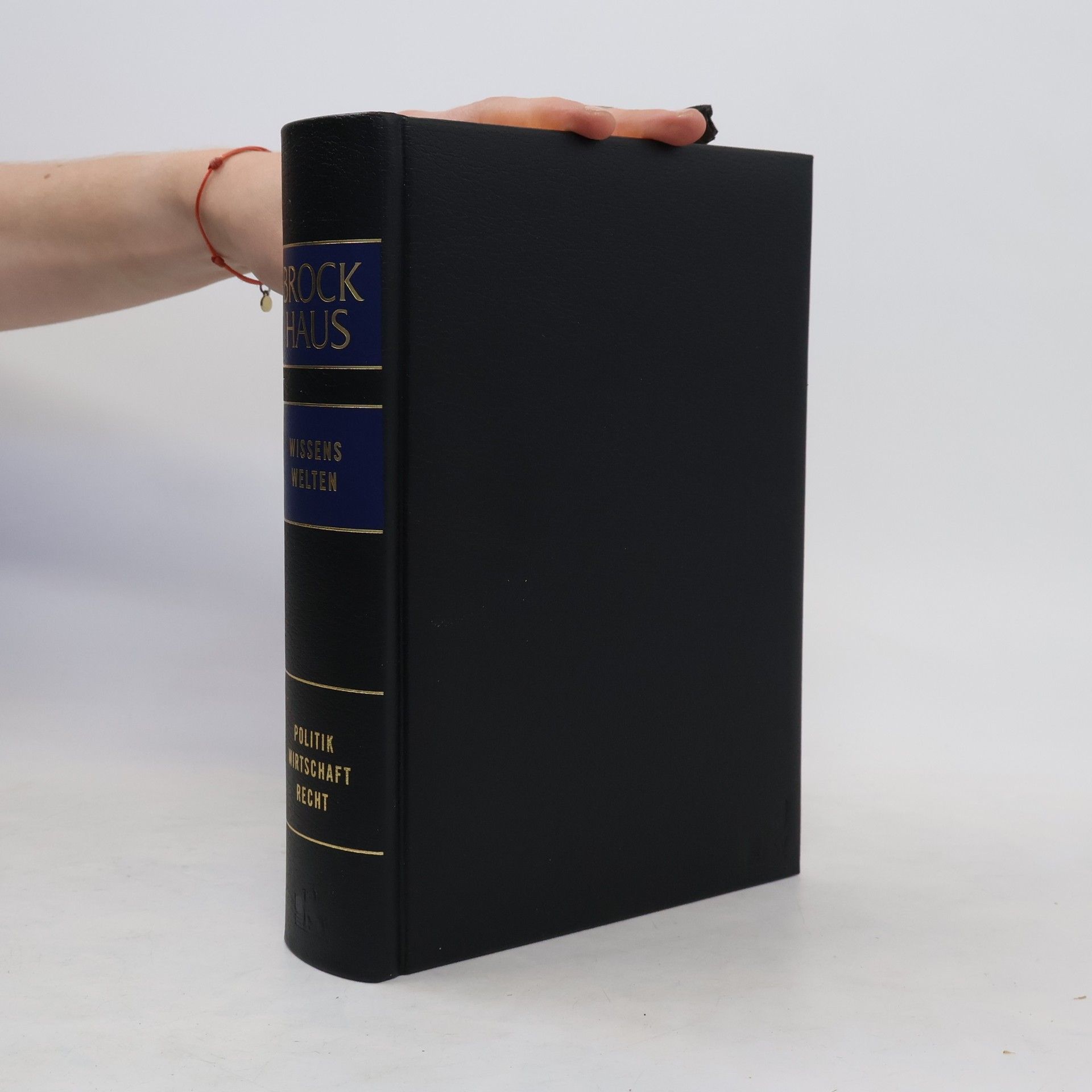 AA.VV. Brockhaus Wissenswelten: Politik Wirtschaft Recht