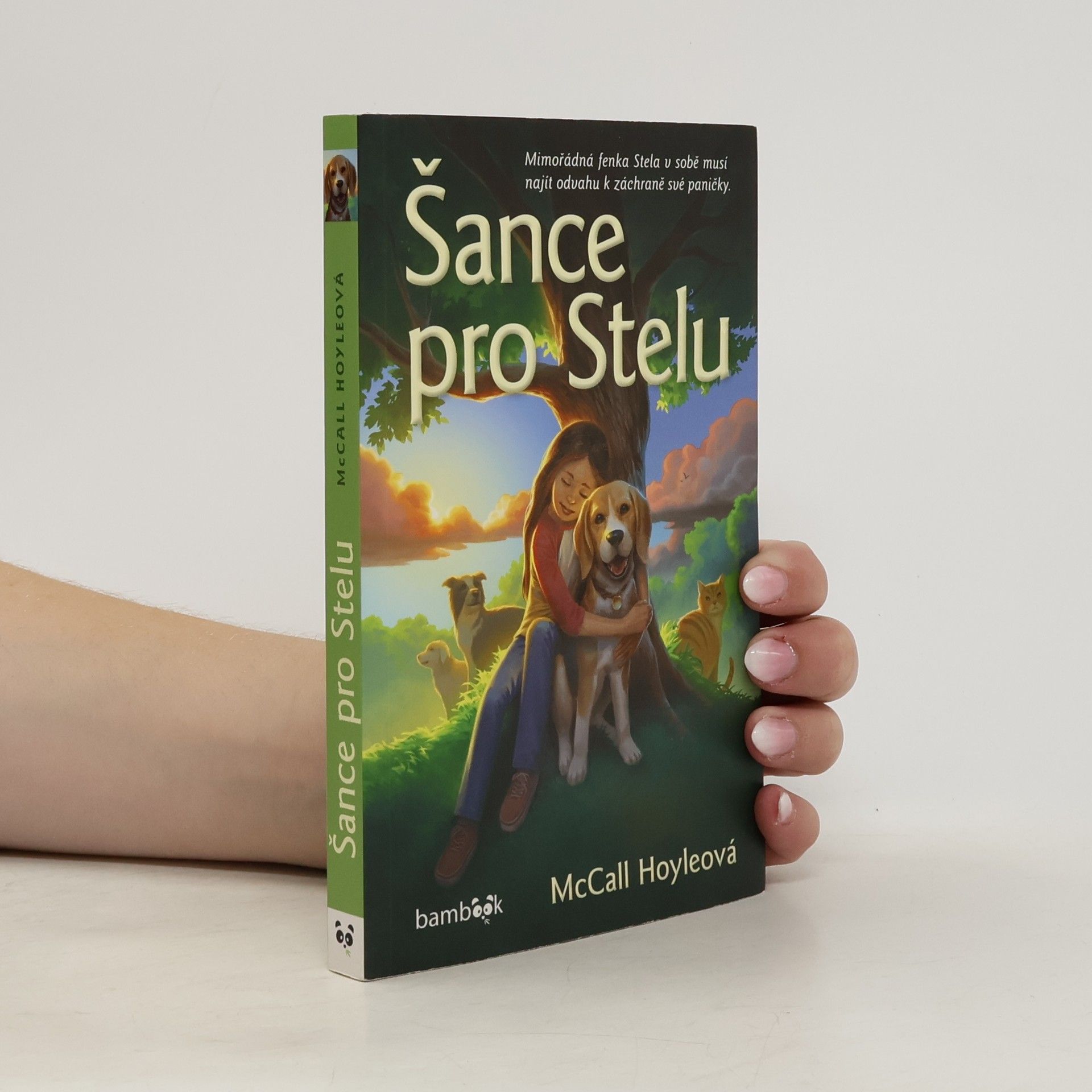 McCall Hoyle Šance pro Stelu