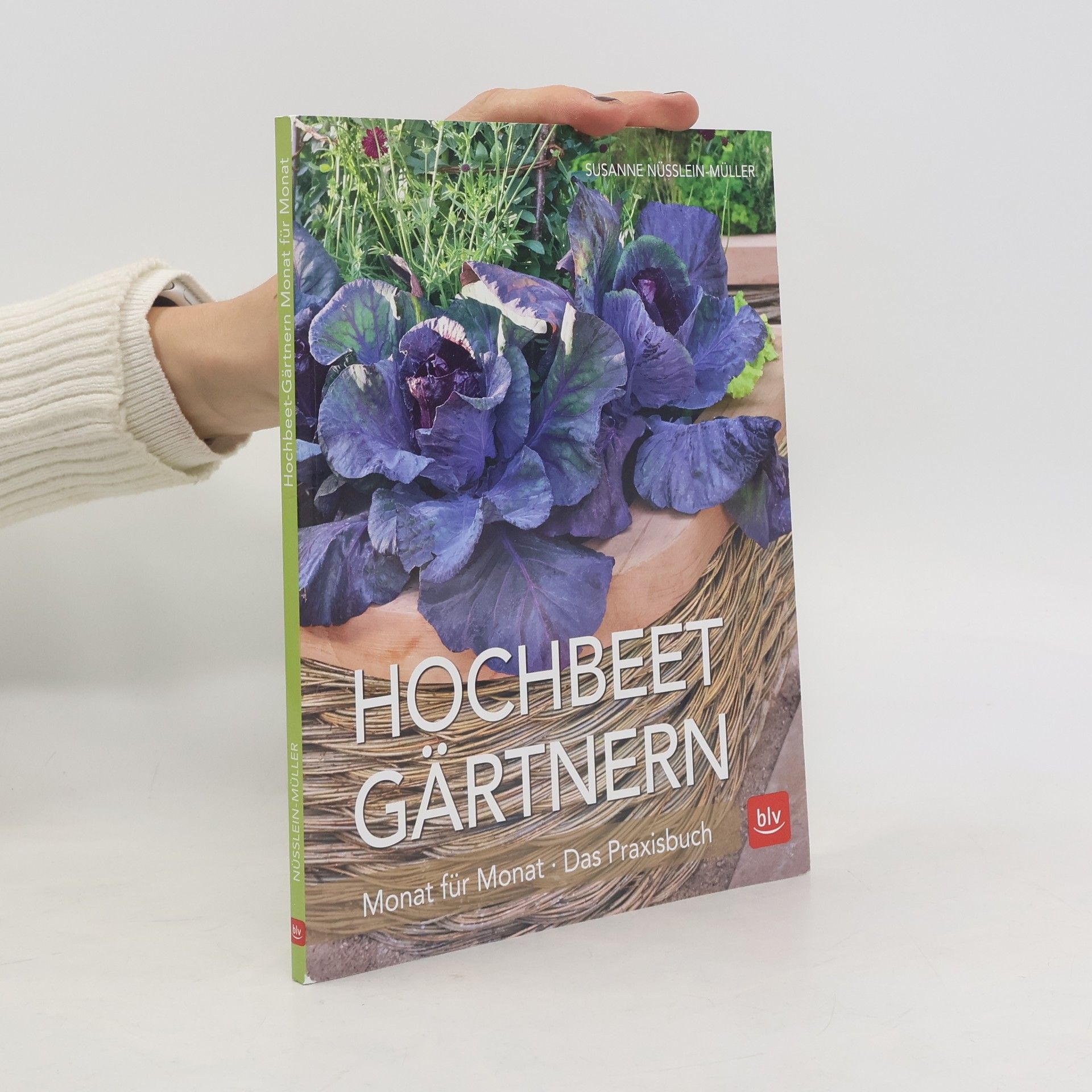 Hochbeet Gärtnern Monat für Monat