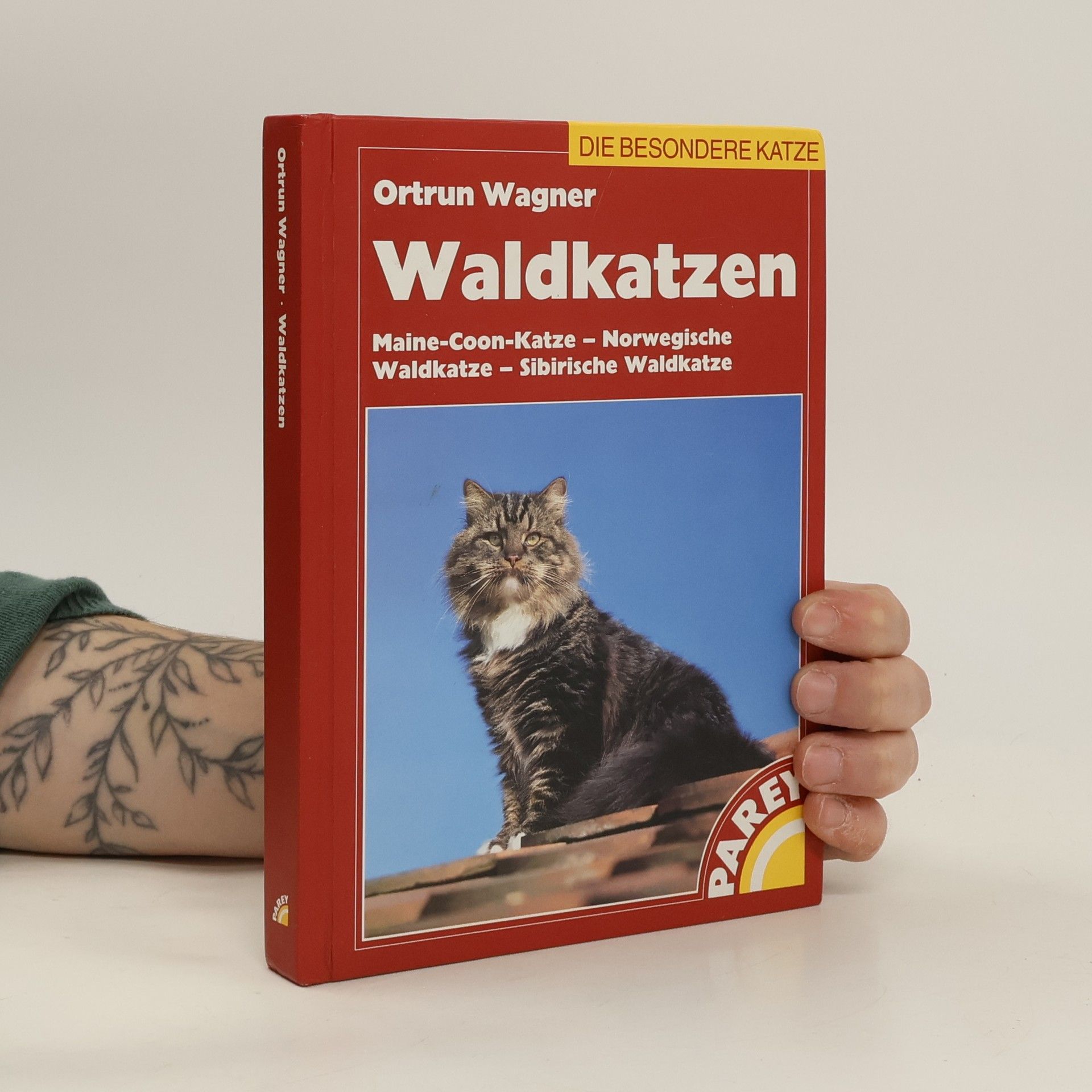 Waldkatzen