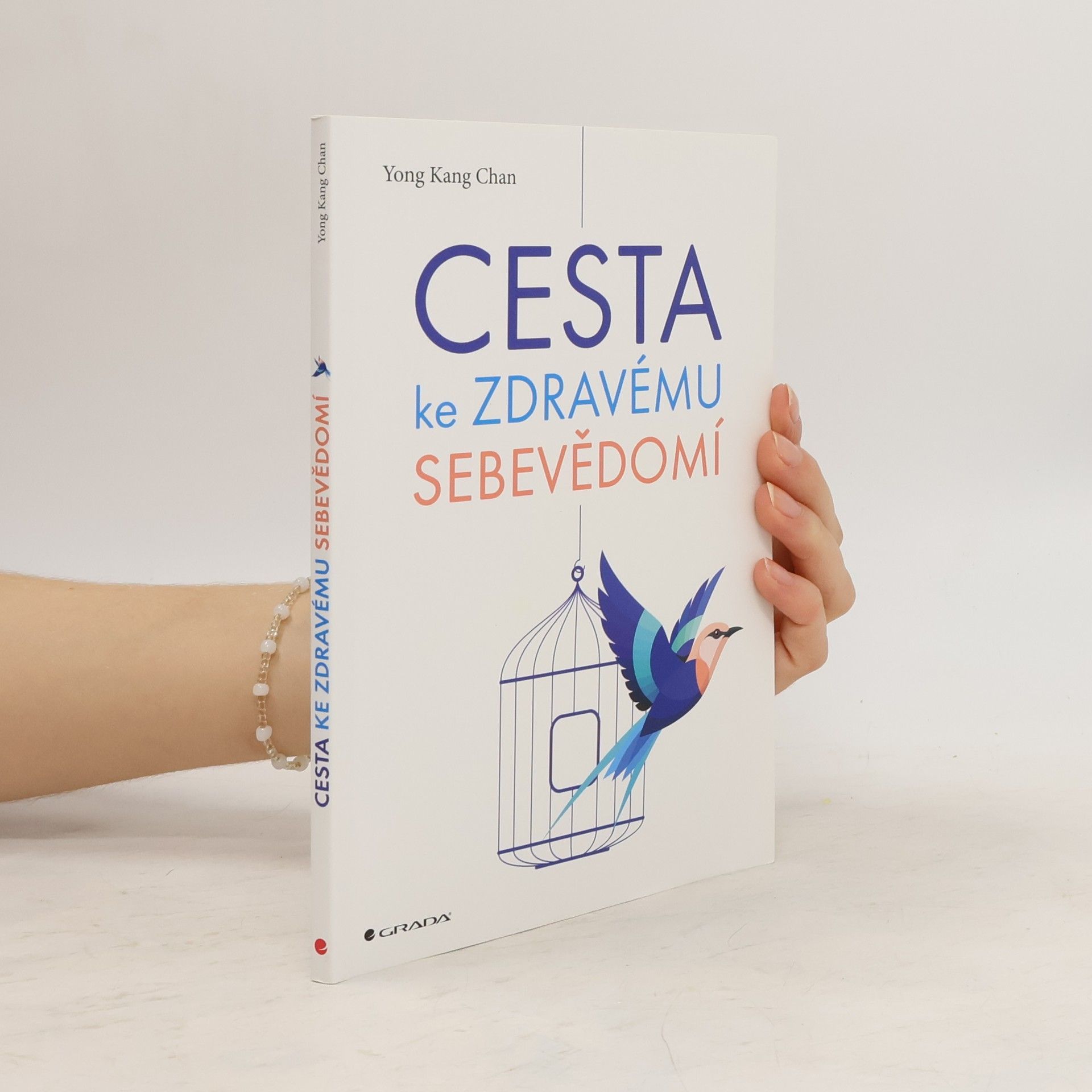 Yong Kang Chan Cesta ke zdravému sebevědomí