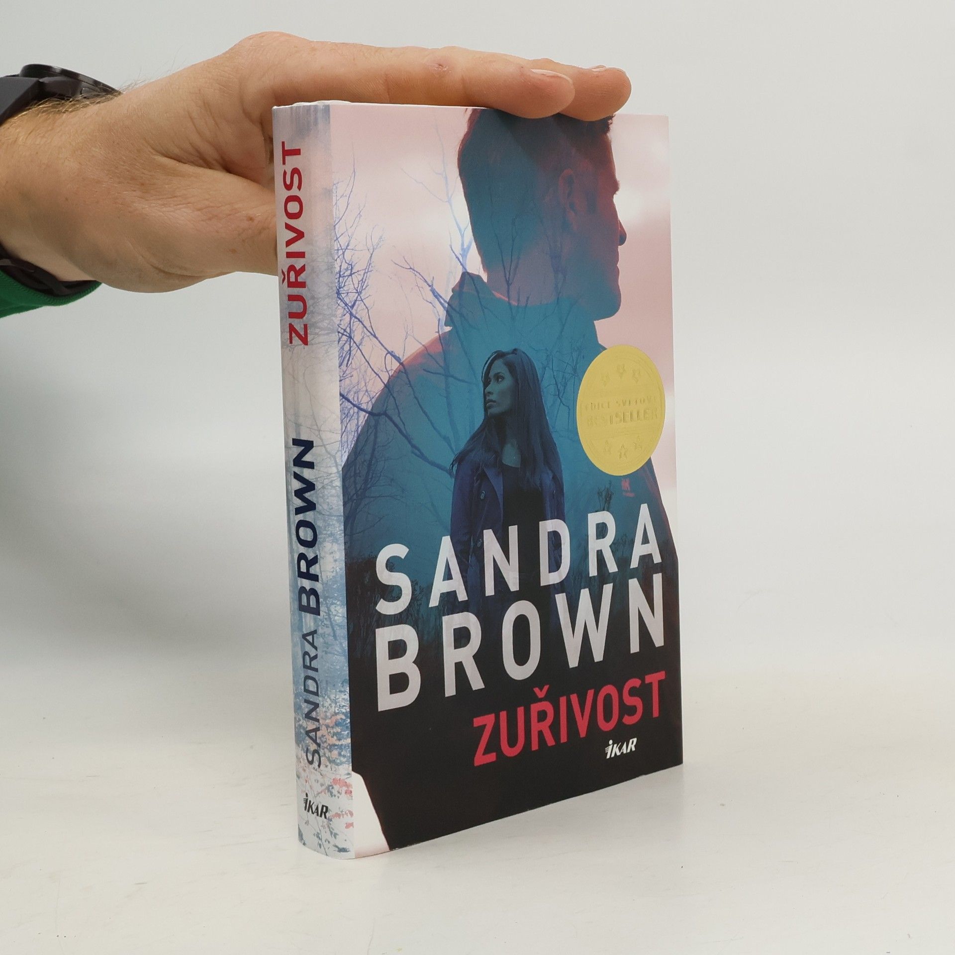 Sandra Brown Zuřivost