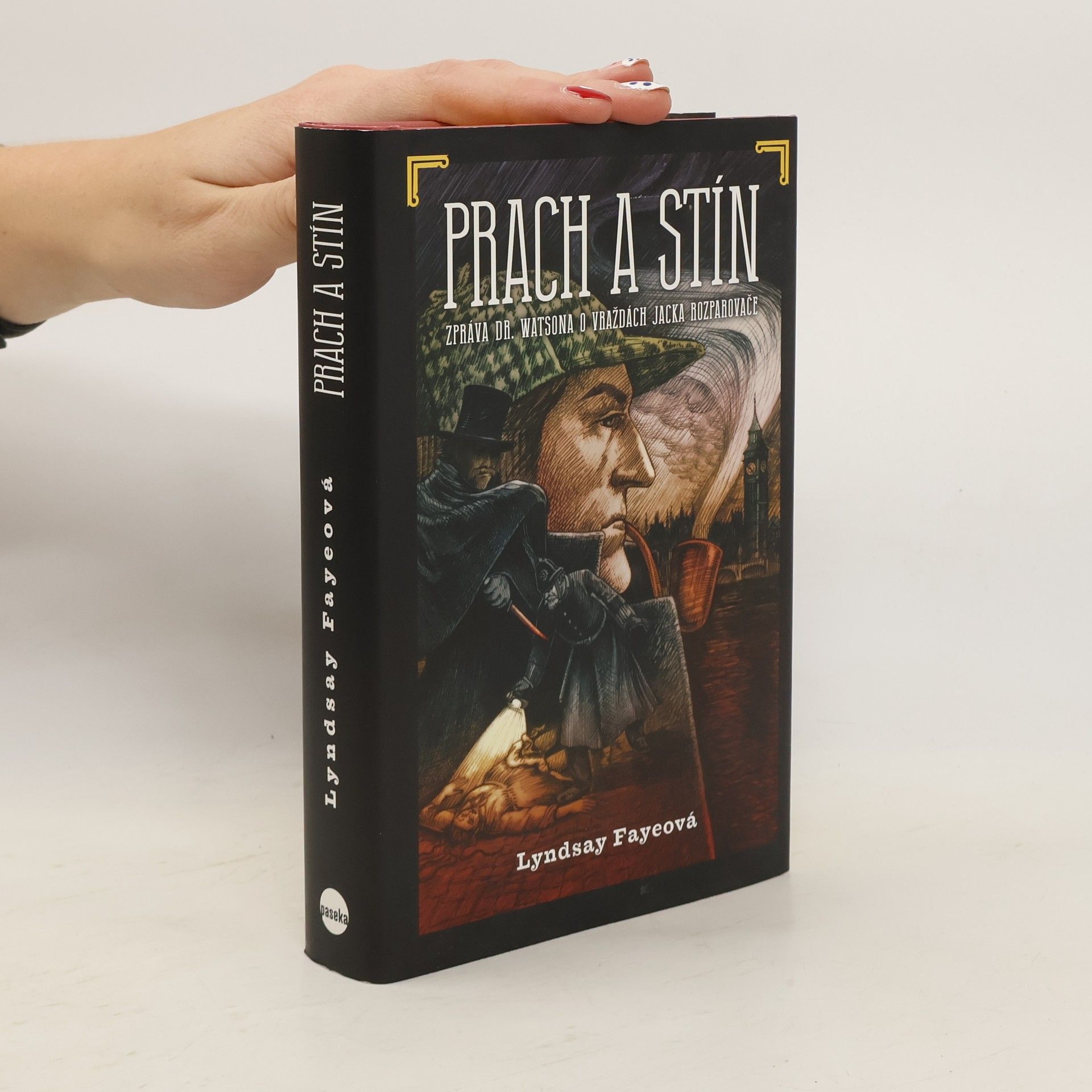 Lyndsay Faye Prach a stín