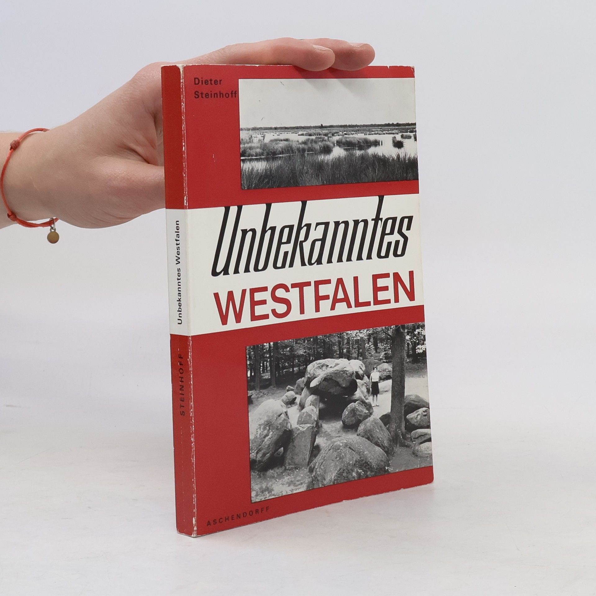 Dieter Steinhoff Unbekanntes Westfalen