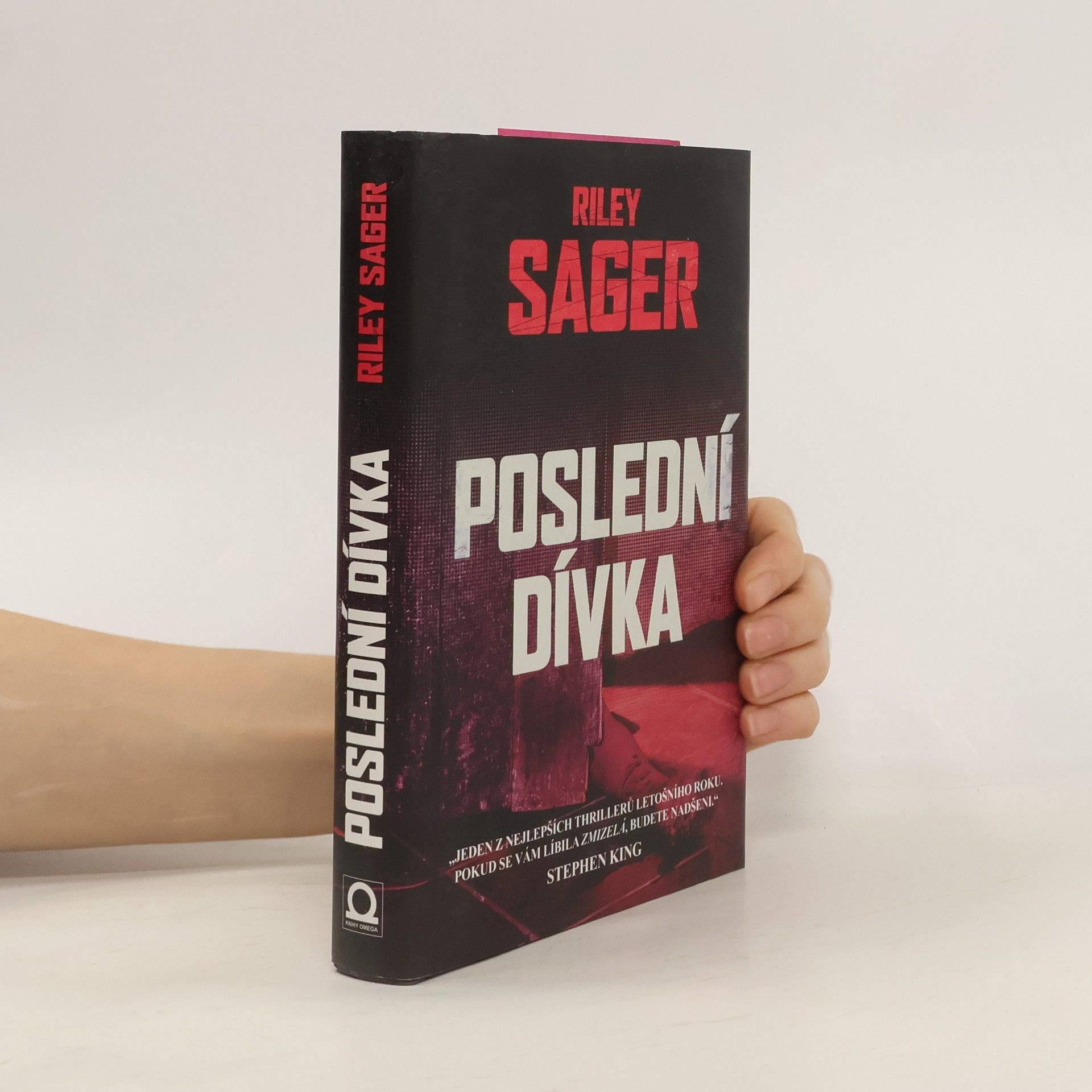 Todd Ritter Poslední dívka