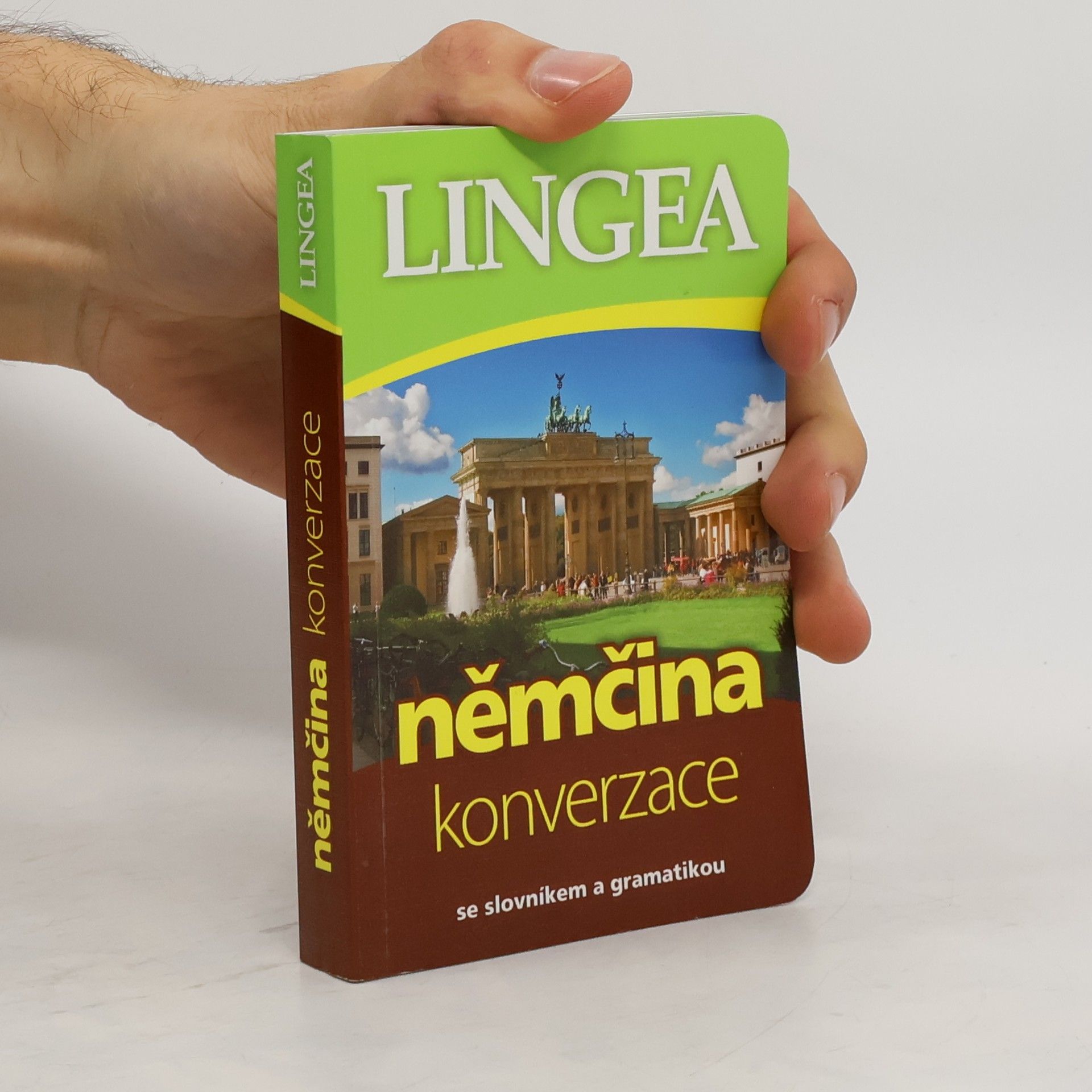 Collectif d'auteurs Němčina: Konverzace: Se slovníkem a gramatikou