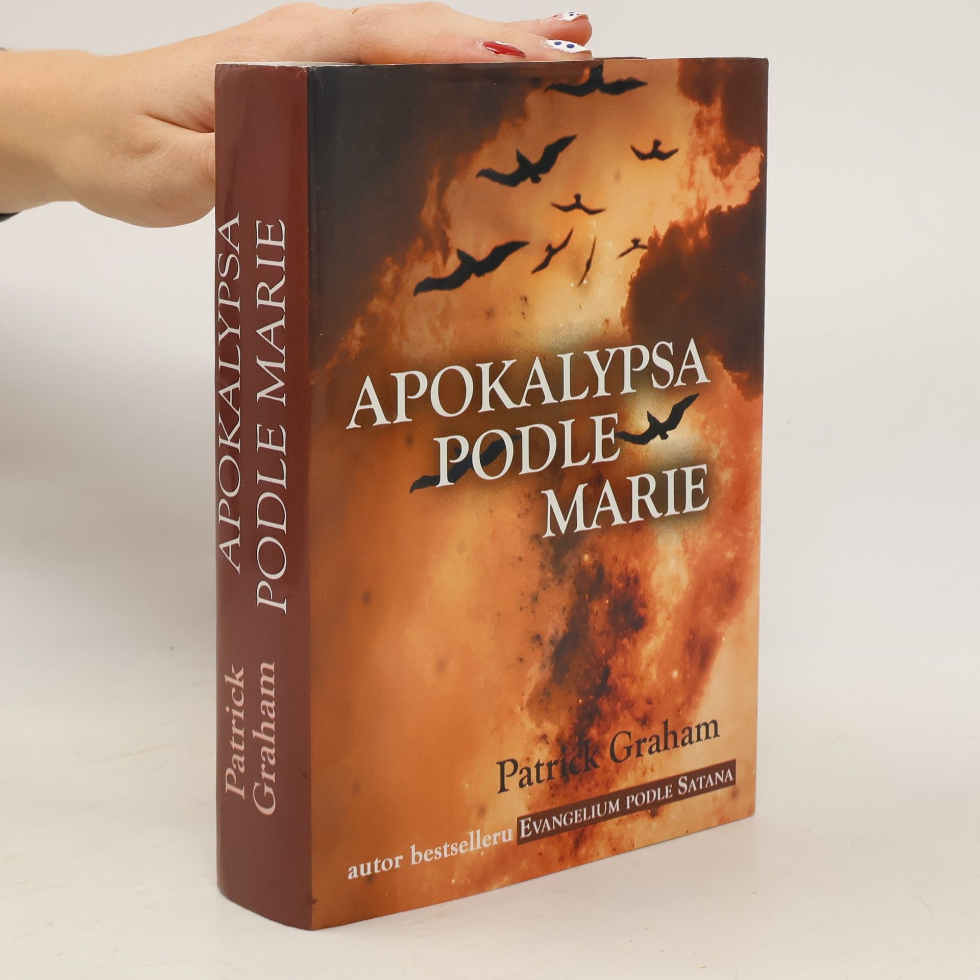 Patrick Graham Apokalypsa podle Marie