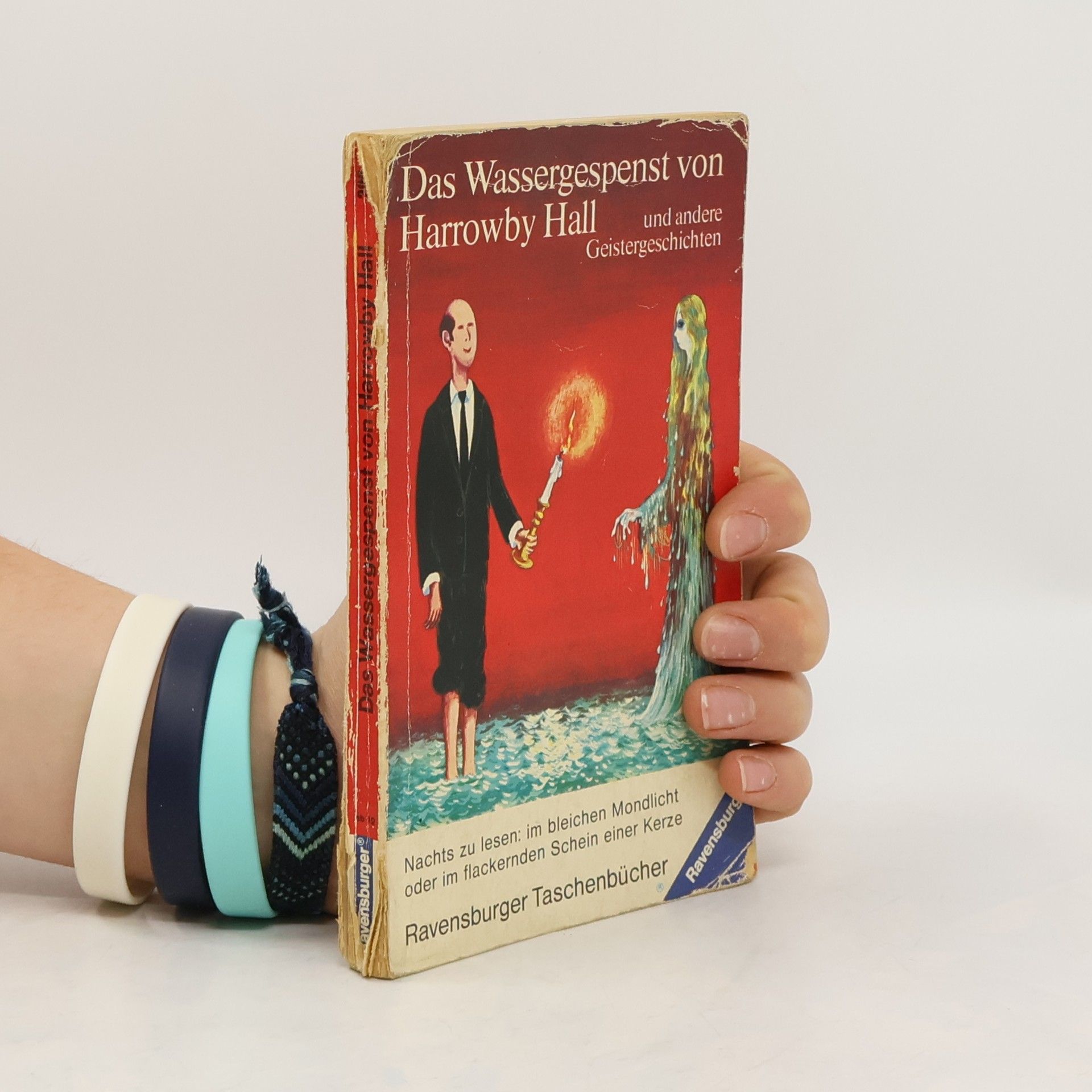 Hanna Bautze Das Wassergespenst von Harrowby Hall und andere Geistergeschichten