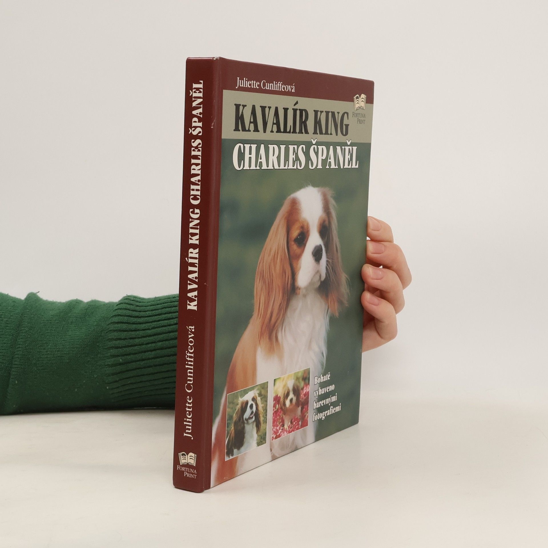 Juliette Cunliffe Kavalír king Charles španěl