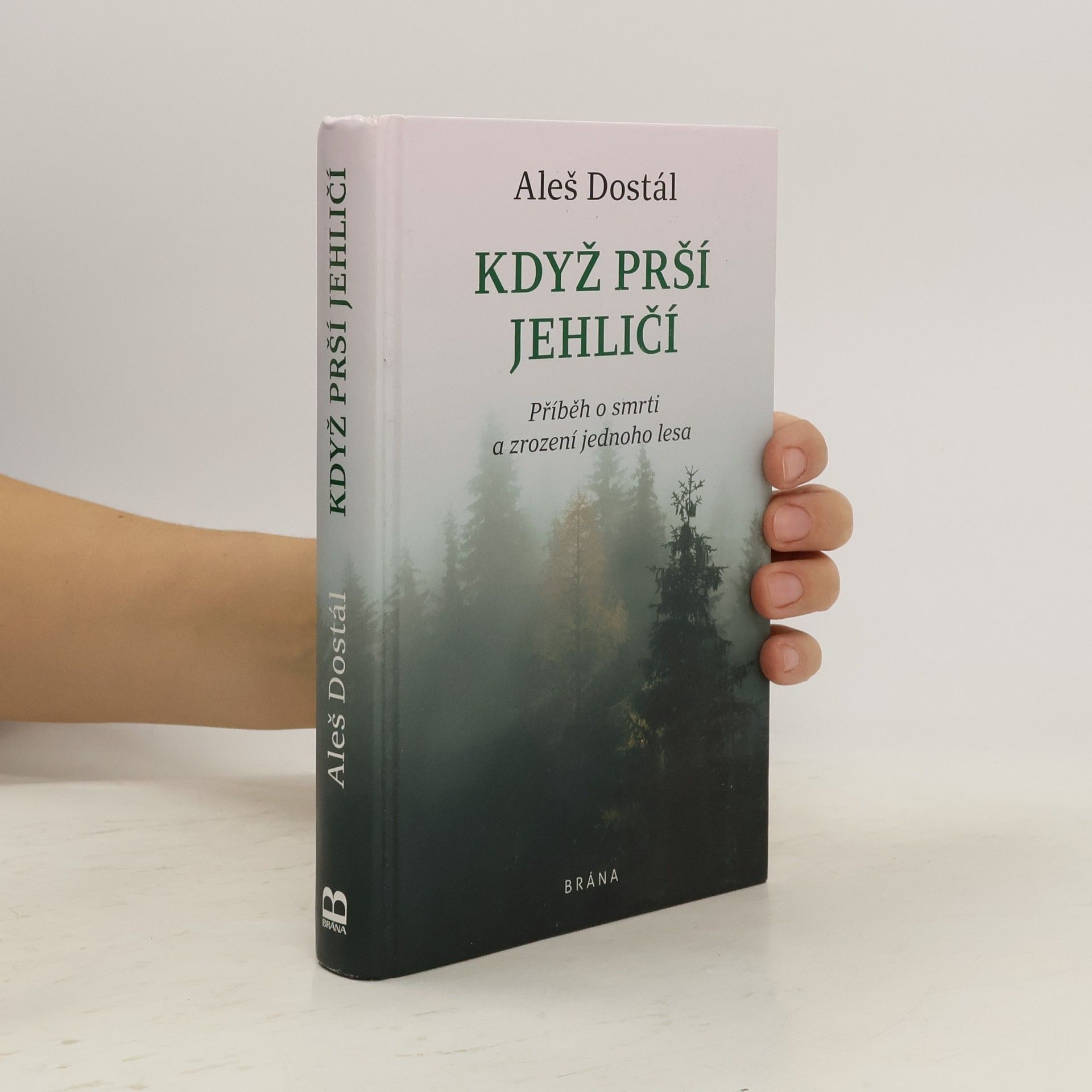 Když prší jehličí : příběh o smrti a zrození jednoho lesa