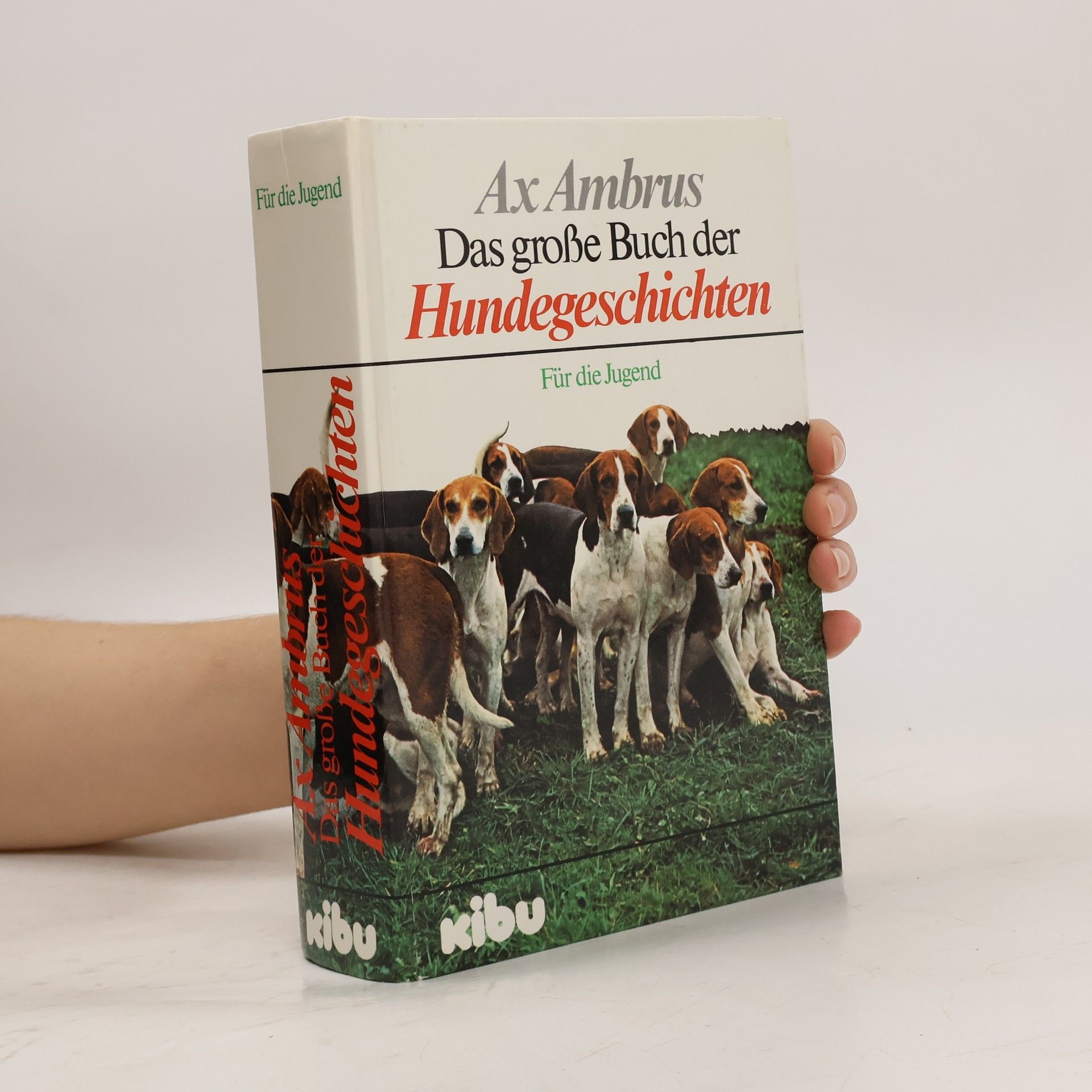 Das grosse Buch der Hundegeschichten