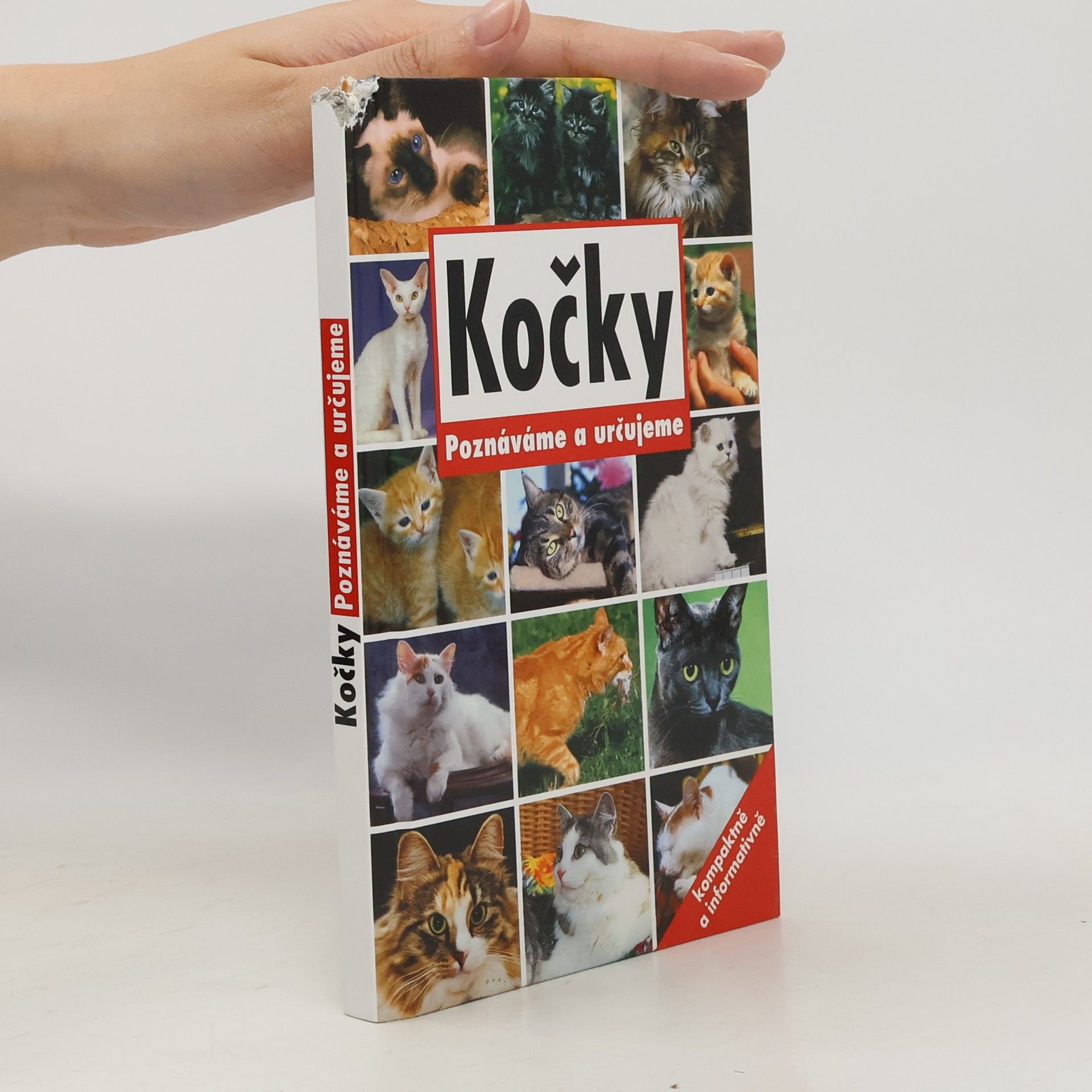 Kočky: Poznáváme a určujeme