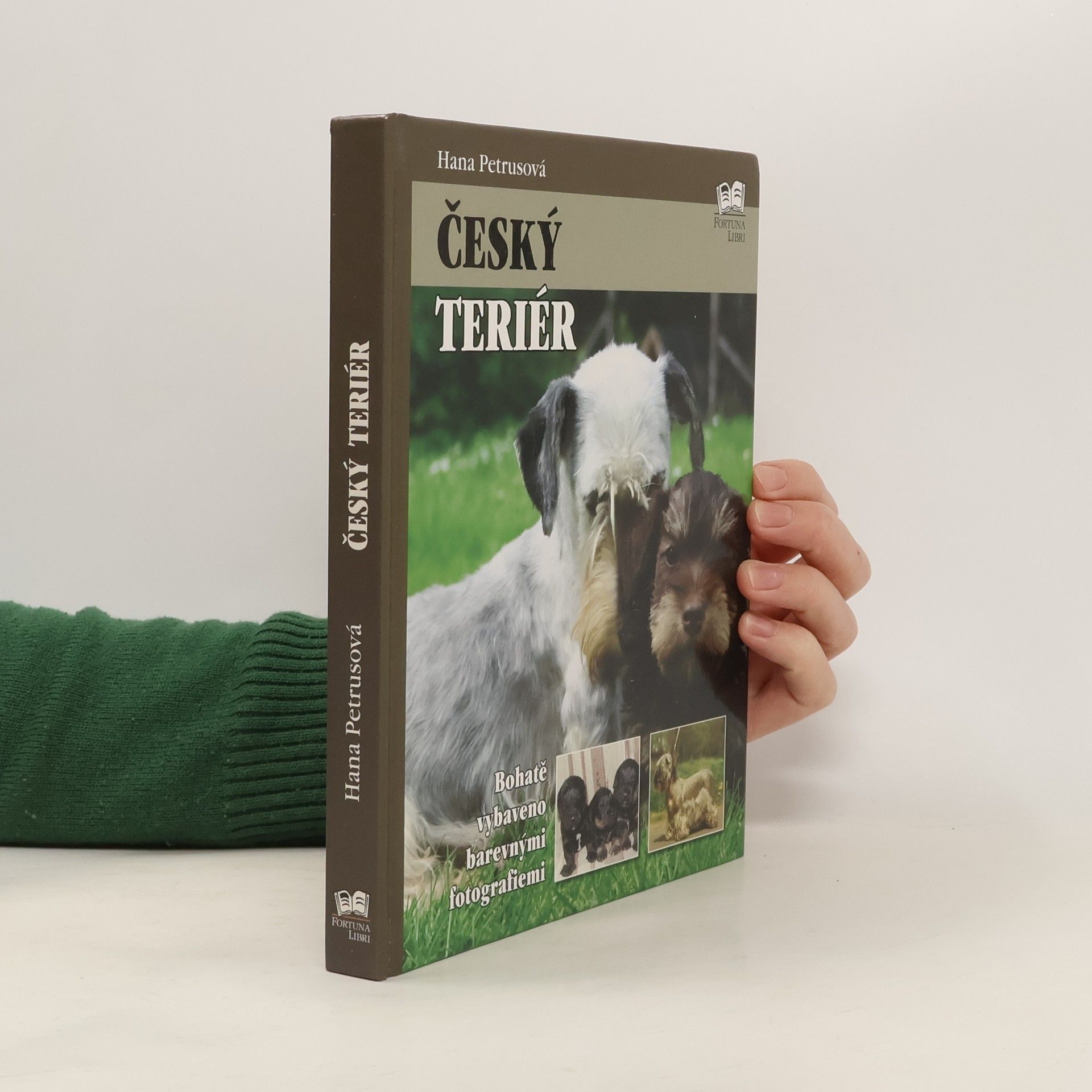 Hana Petrusová Český teriér