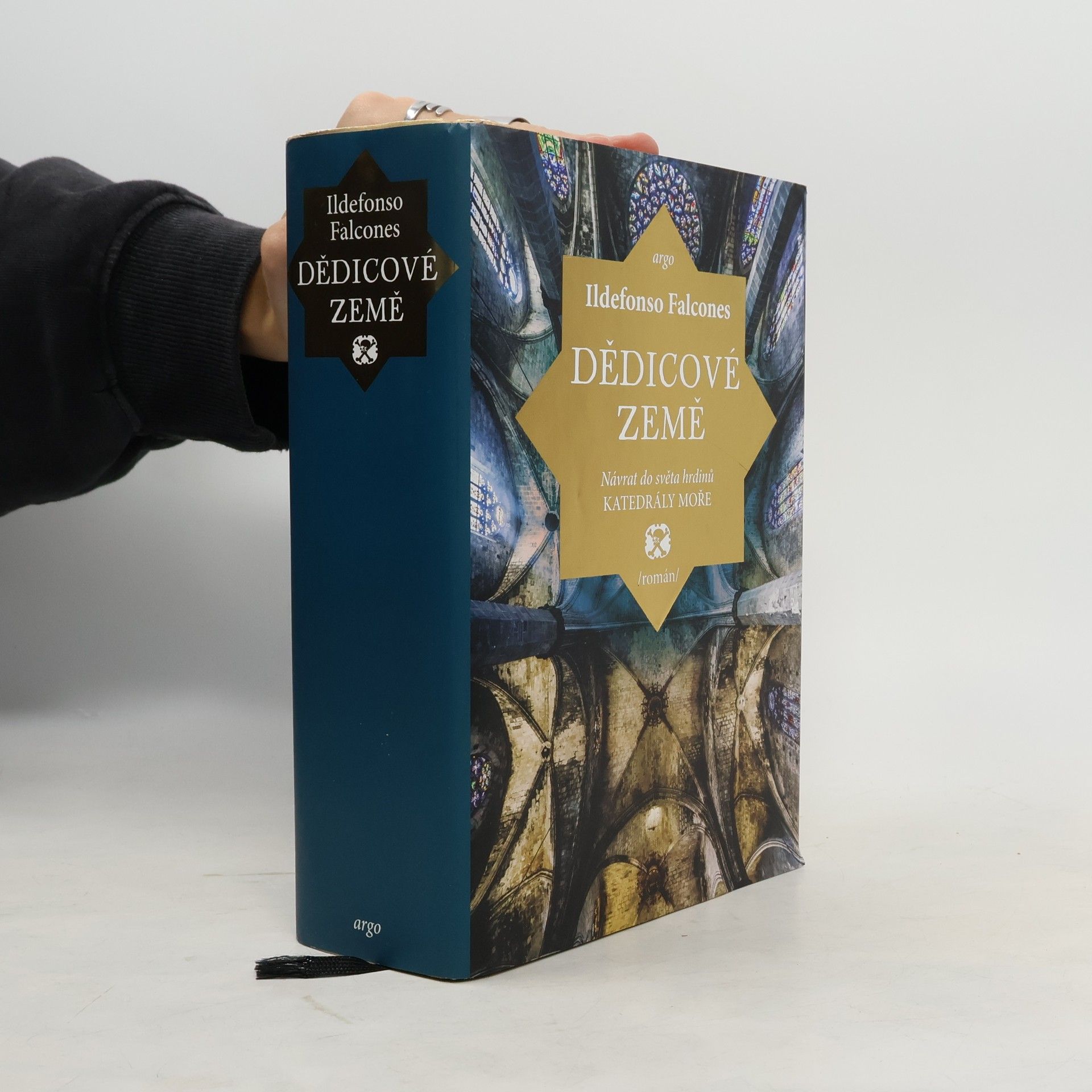 Ildefonso Falcones Dědicové země