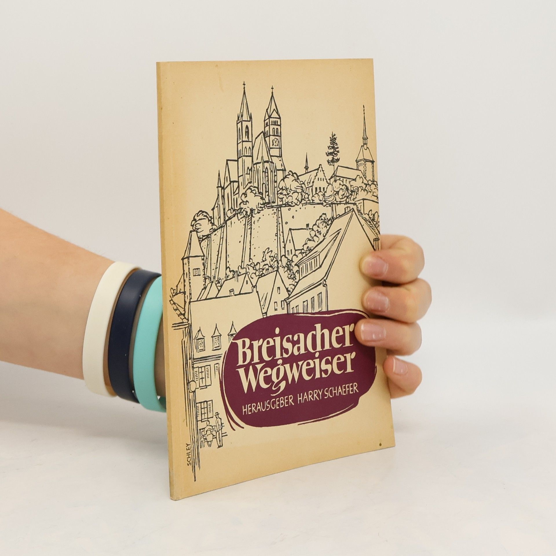 Harry Schaefer Breisacher Wegweiser