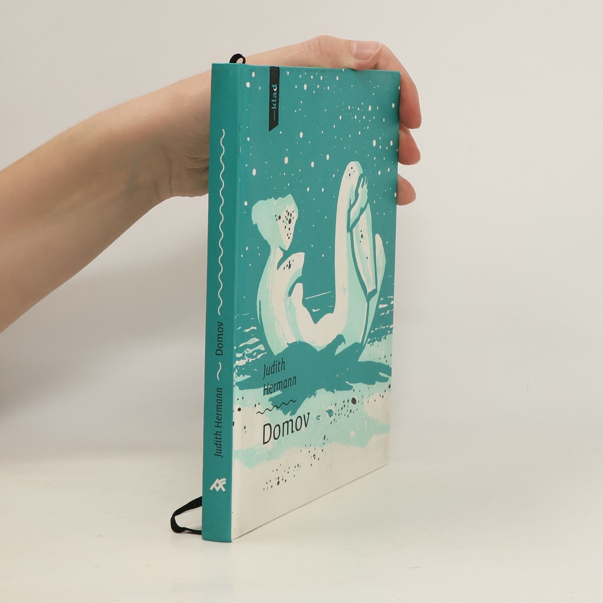 Judith Hermann Domov