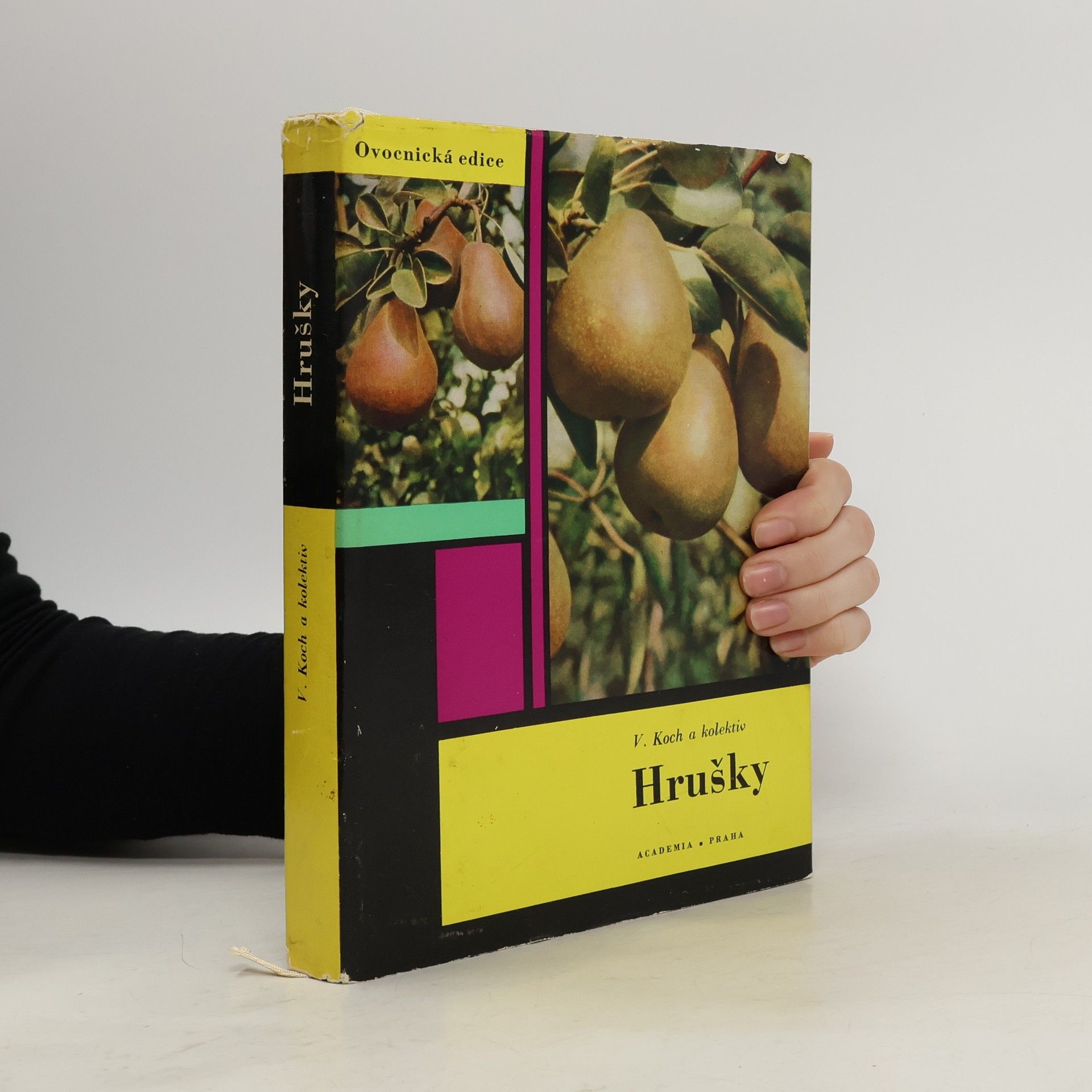 Václav Koch Hrušky