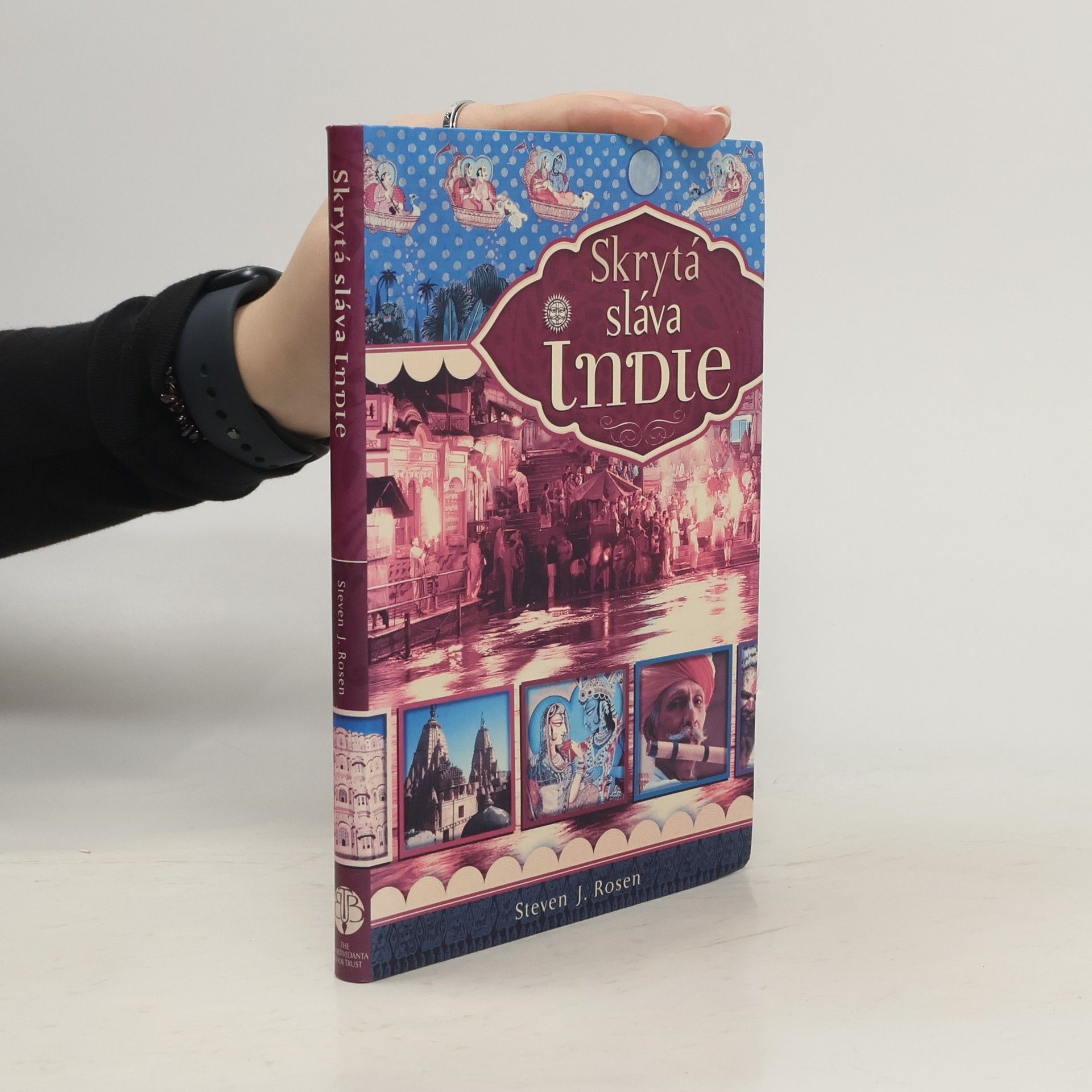 Steven Rosen Skrytá sláva Indie